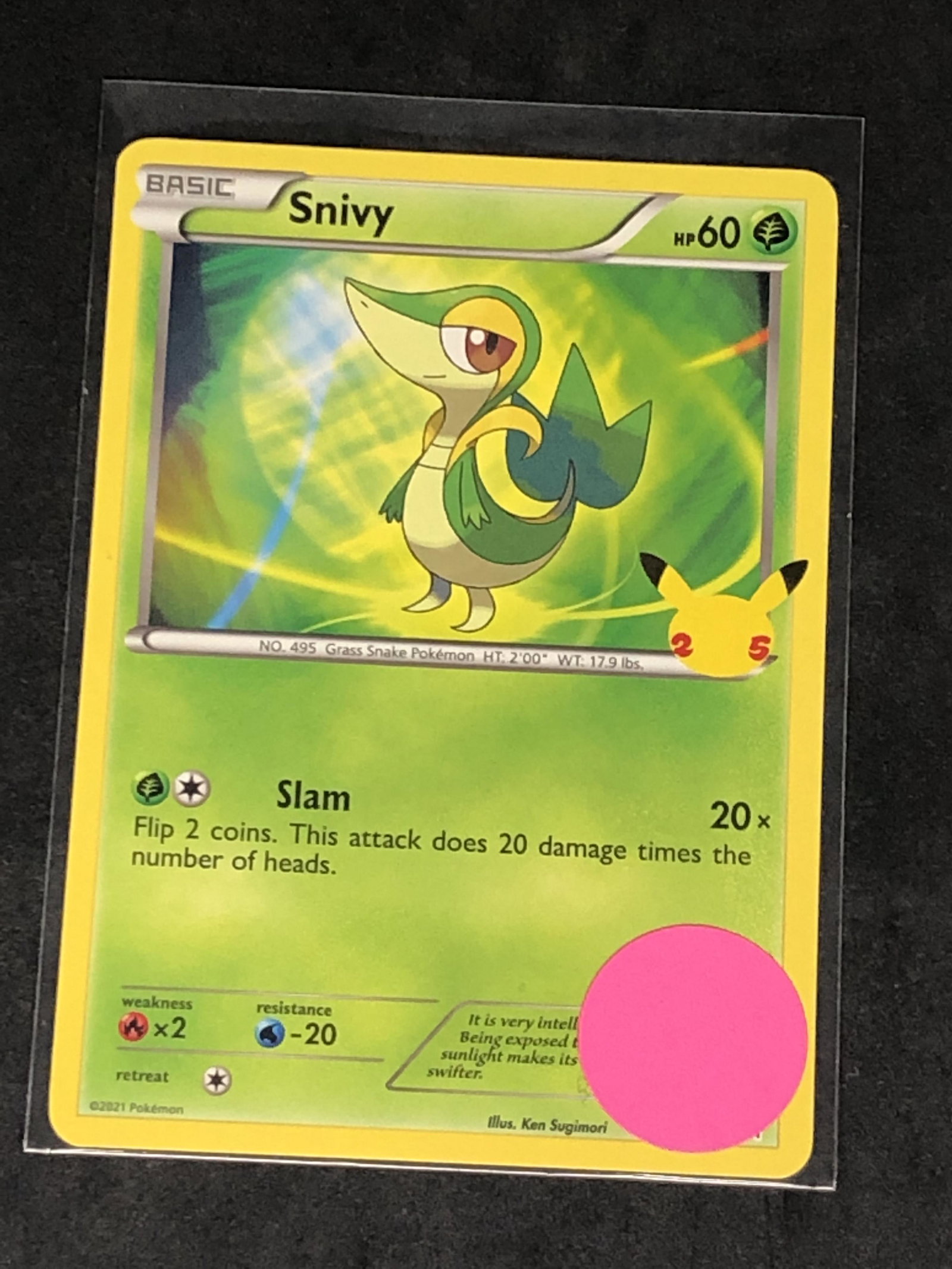 Snivy 25th Ann. Pokemon Card (1 of 1)