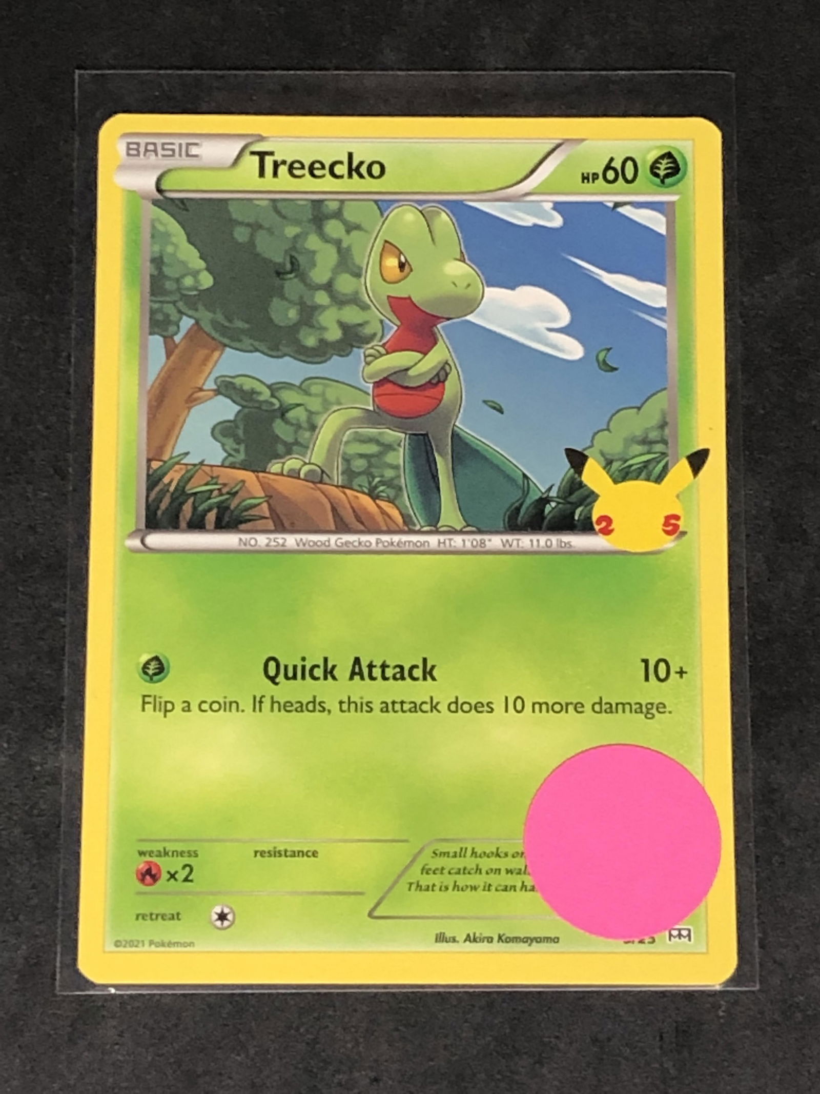 Treecko 25th Ann. Pokemon Card (1 of 1)