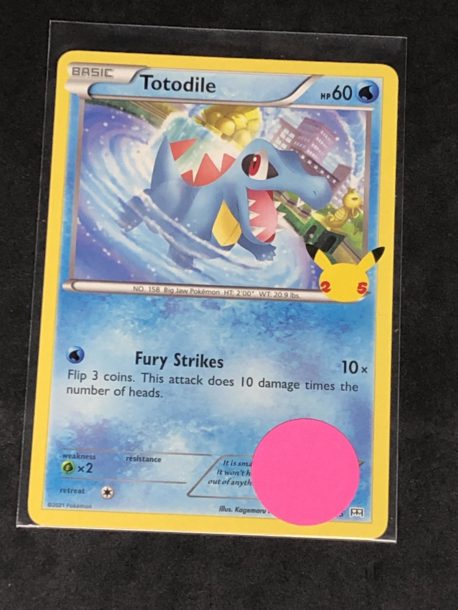 Totodile 25th Ann. Pokemon Card (1 of 1)