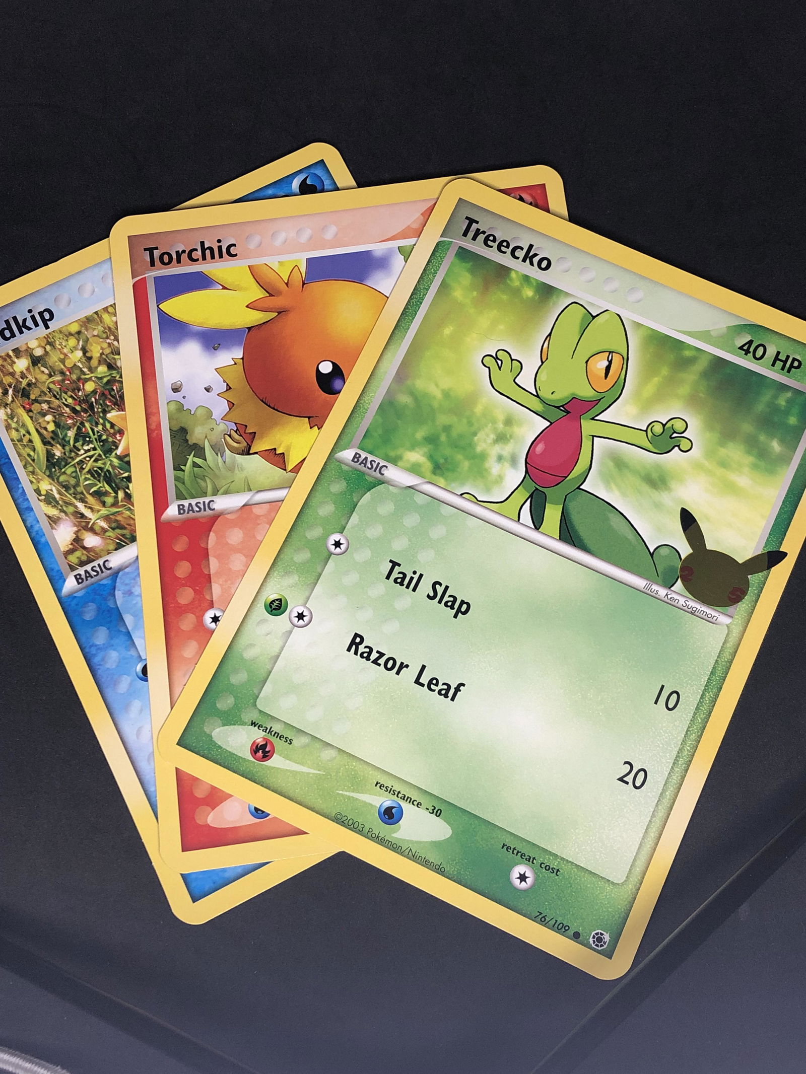 Mudkip/Treecko/Torchic 25th Ann. Jumbo Pokemon Cards (1 of 1)