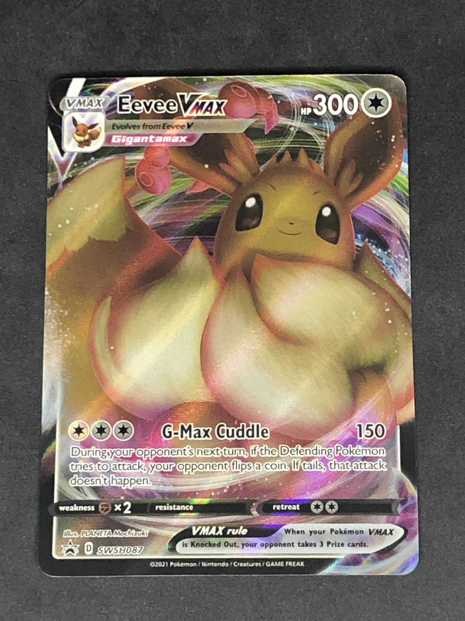 Eevee VMAX Full Art Pokemon Card (1 of 1)