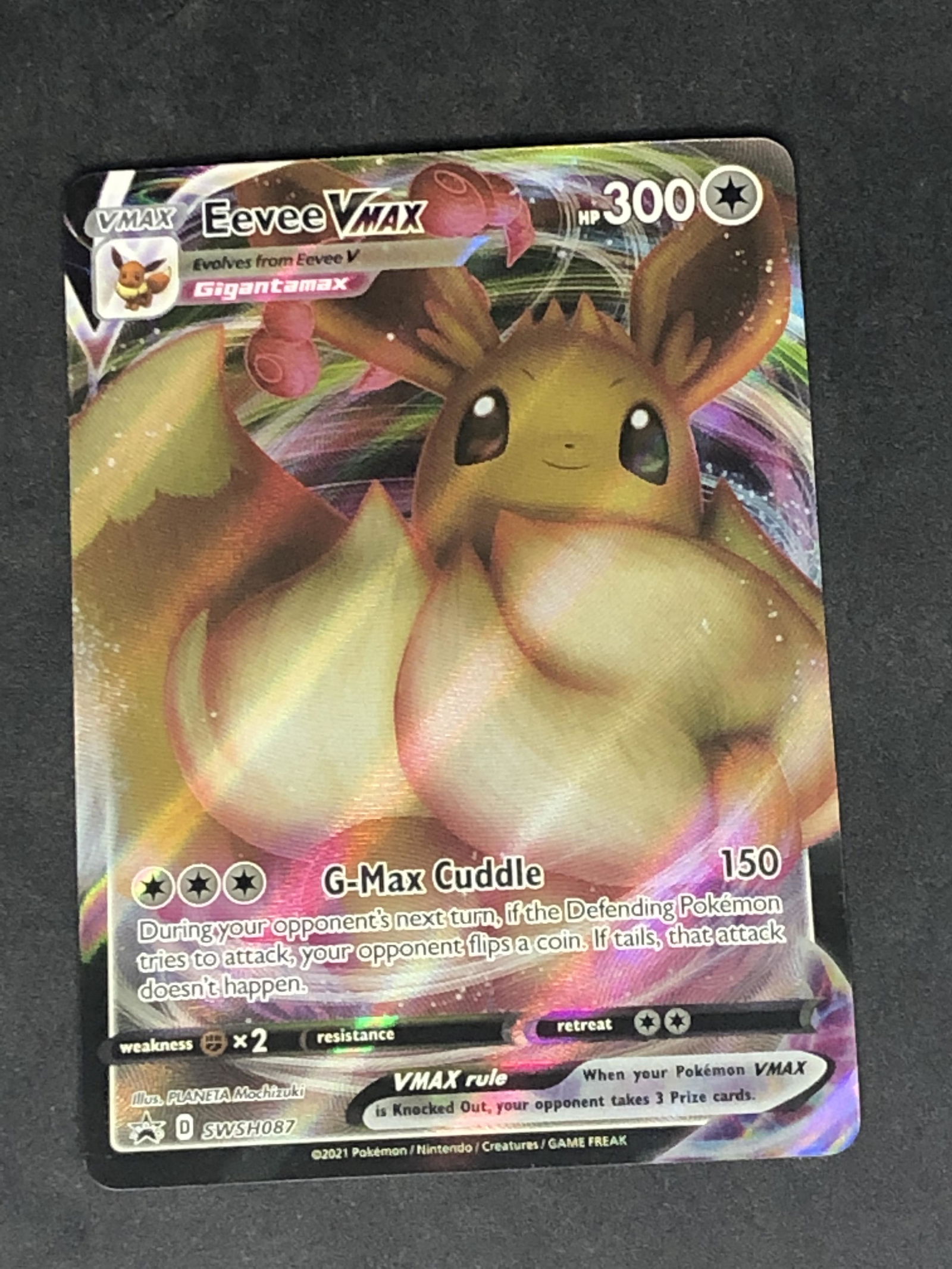 Eevee VMAX Full Art Pokemon Card (1 of 1)