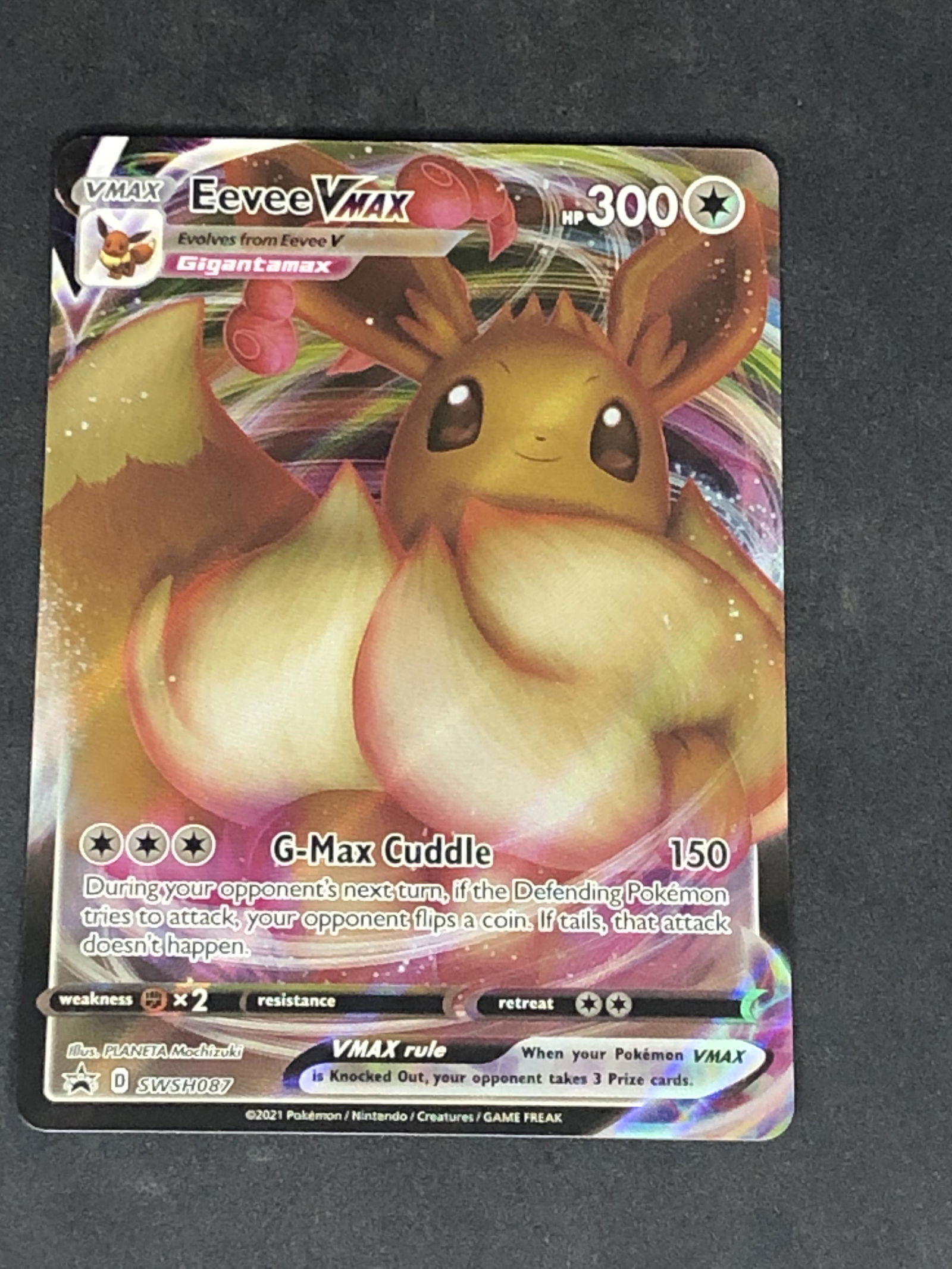 Eevee VMAX Full Art Pokemon Card (1 of 1)