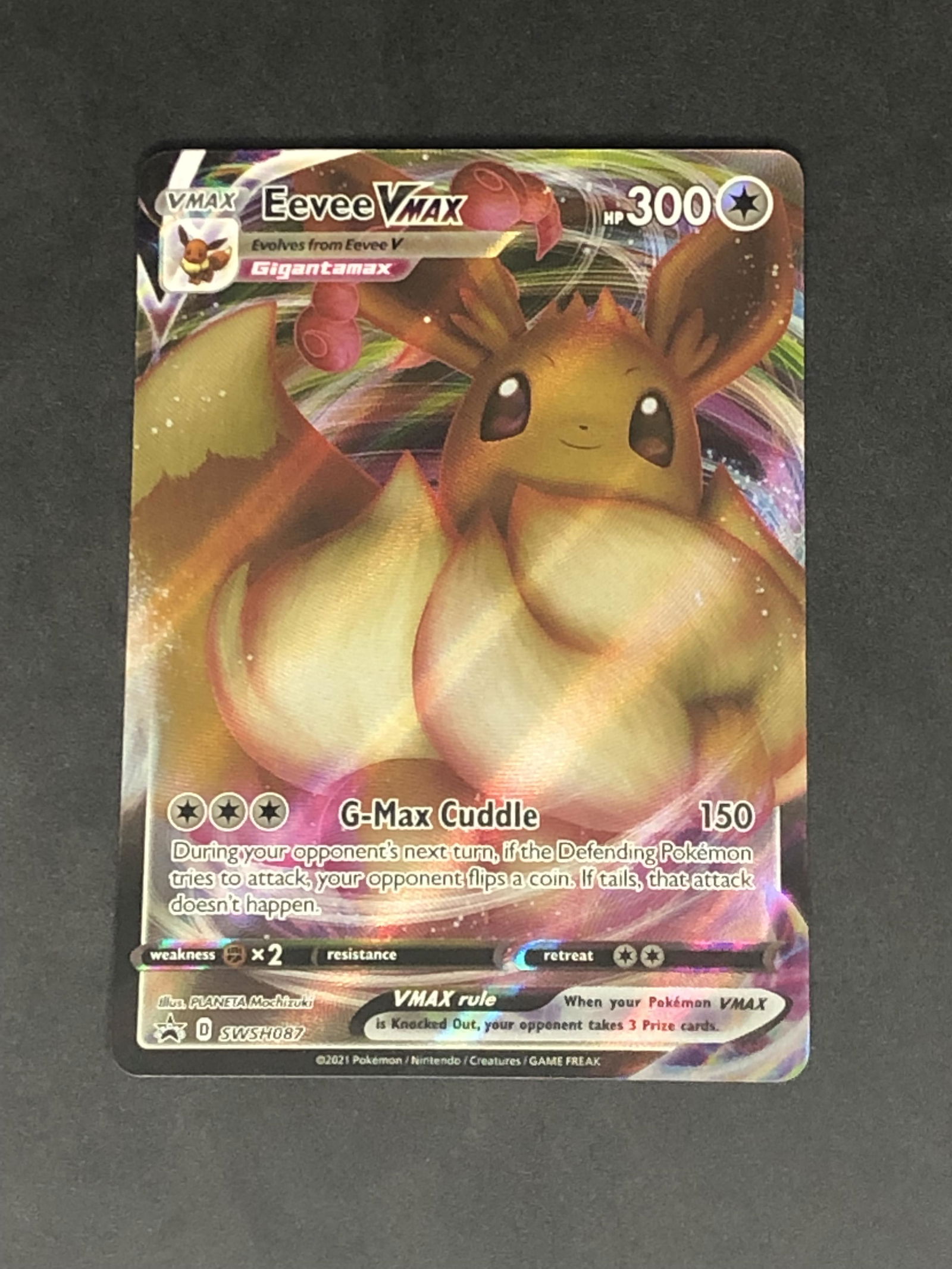 Eevee VMAX Full Art Pokemon Card (1 of 1)