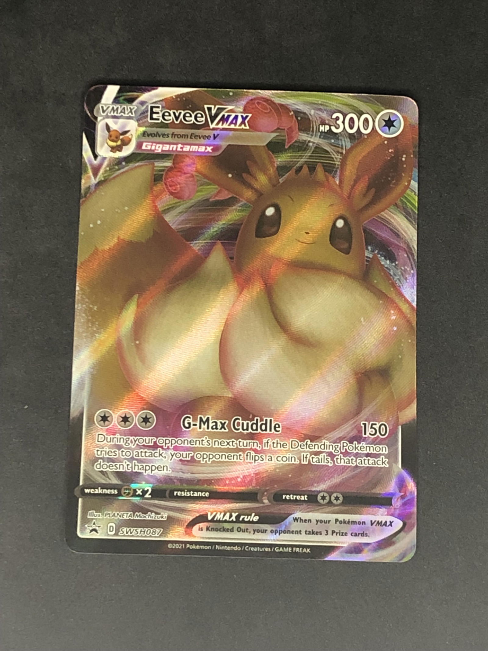 Eevee VMAX Full Art Pokemon Card (1 of 1)