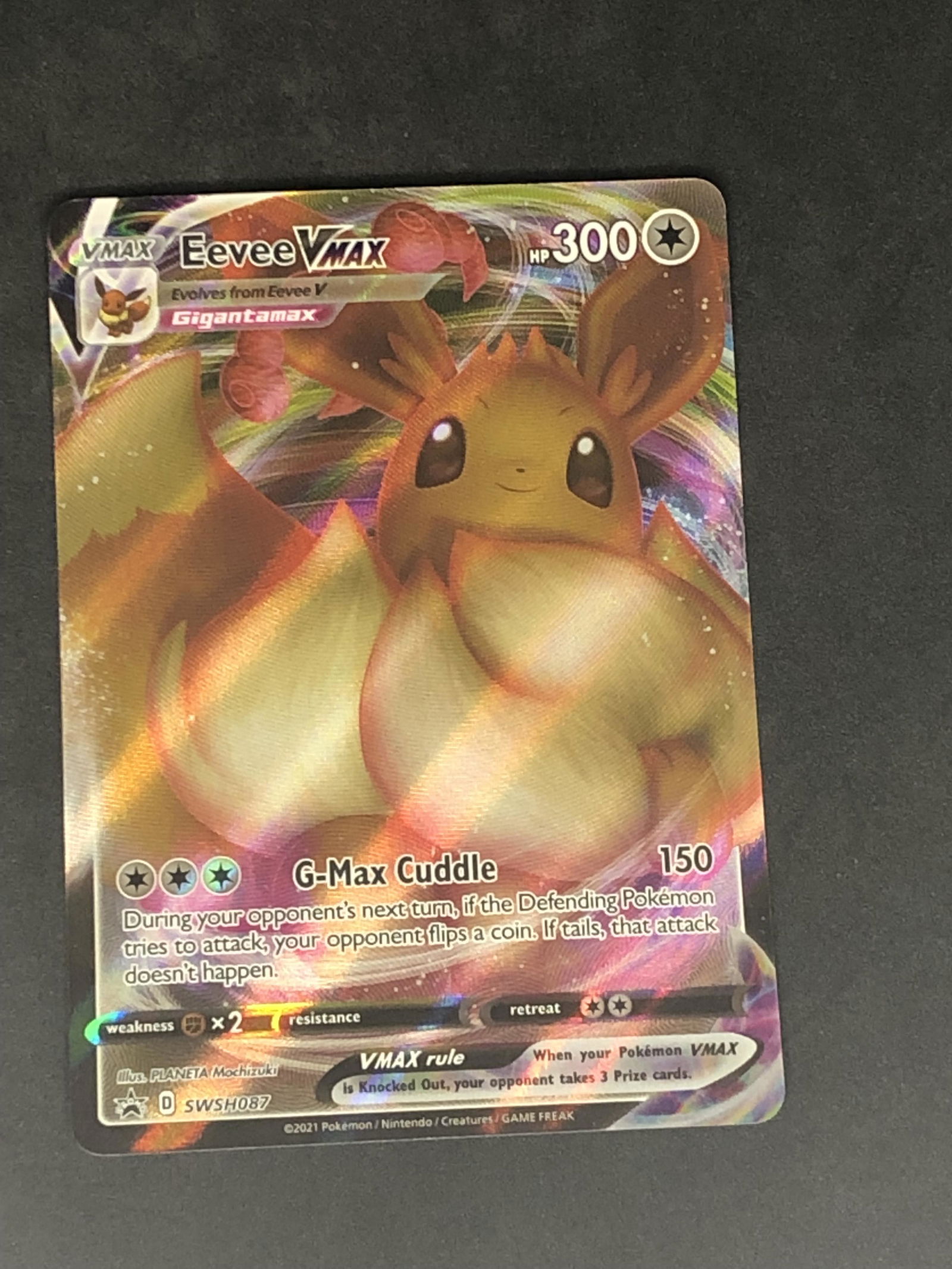 Eevee VMAX Full Art Pokemon Card (1 of 1)
