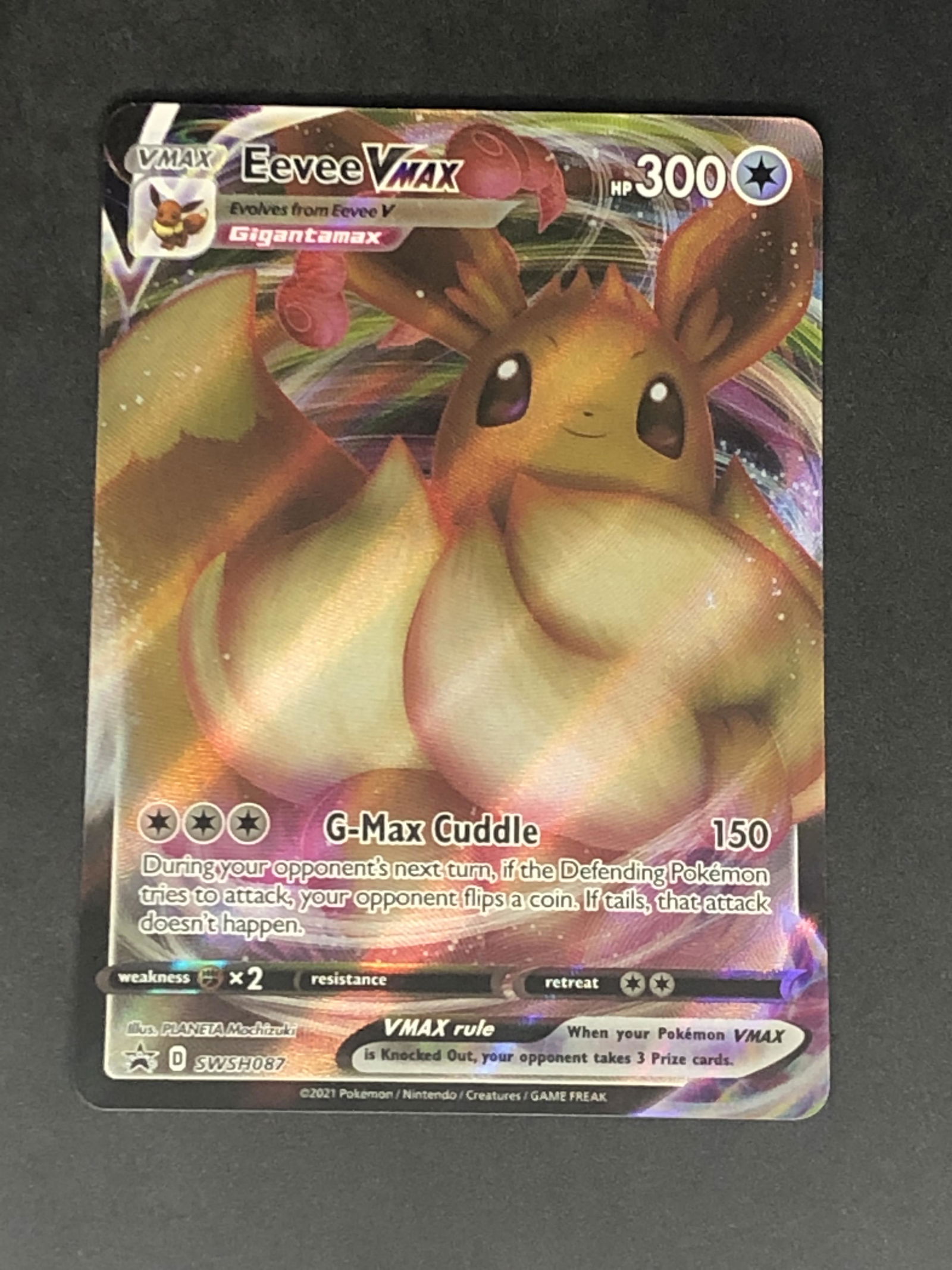 Eevee VMAX Full Art Pokemon Card (1 of 1)