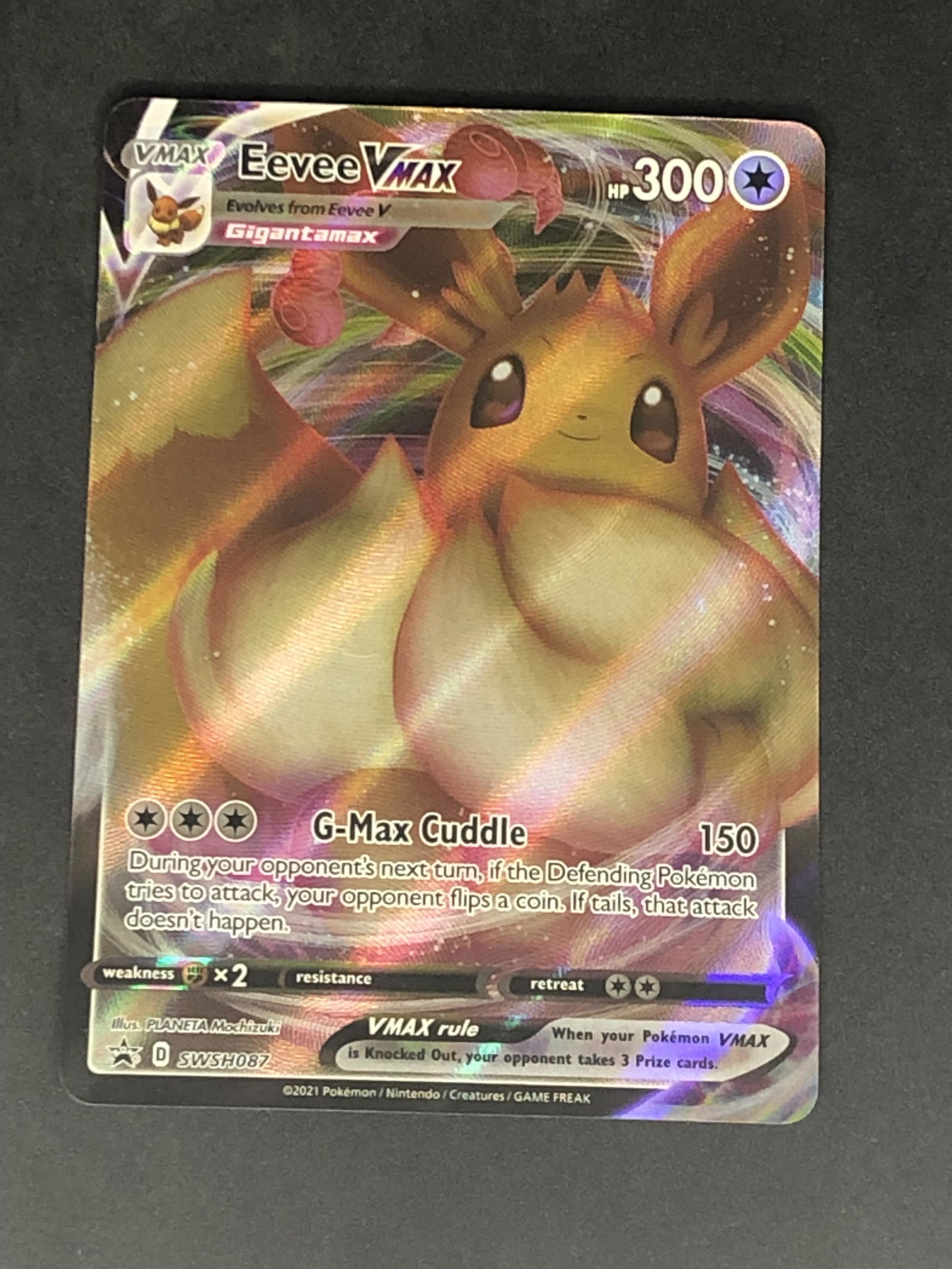 Eevee VMAX Full Art Pokemon Card (1 of 1)