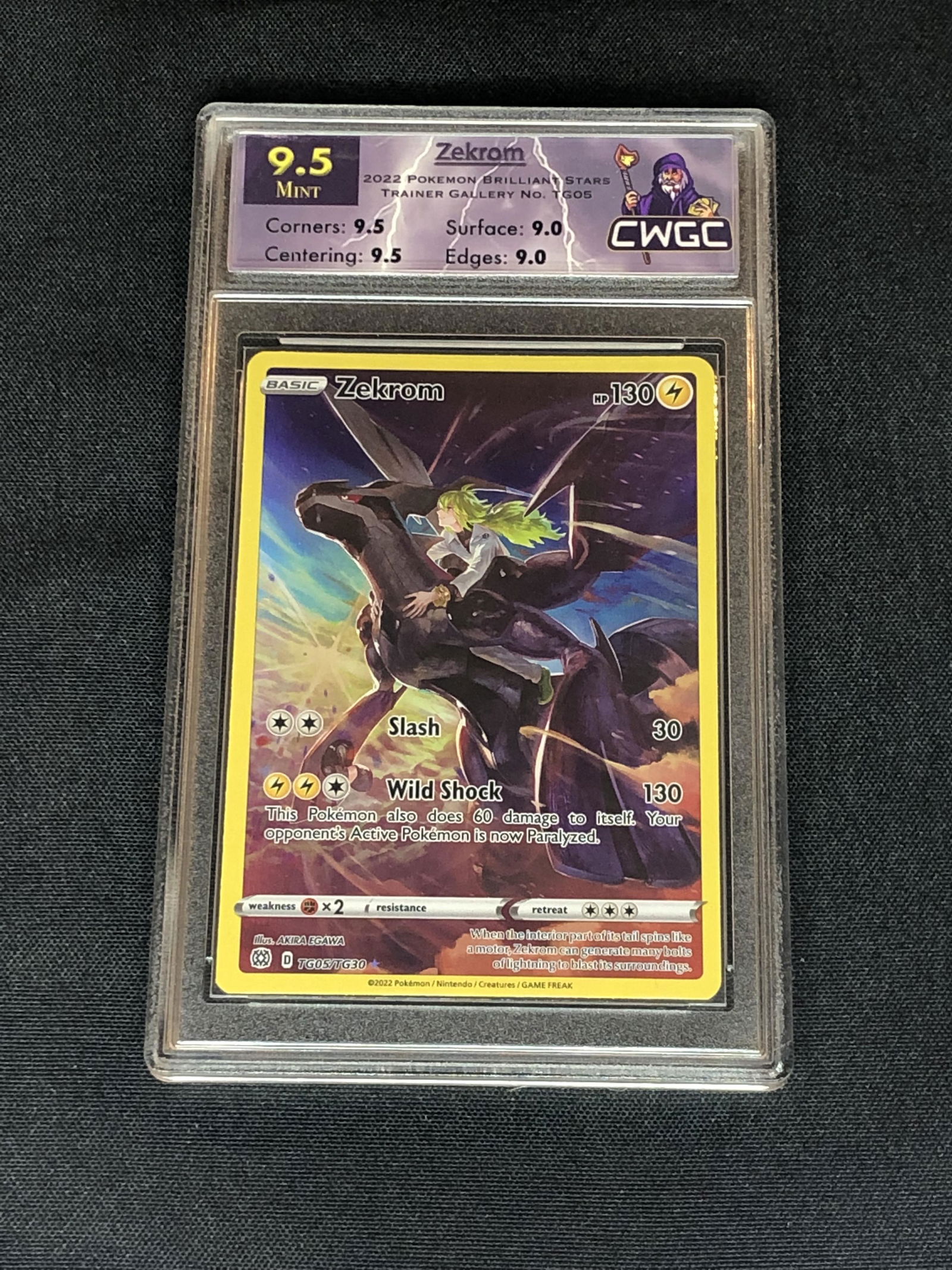 Zekrom Trainers Gallery Graded CWTC 9.5 (1 of 1)