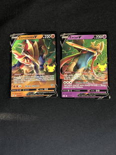 Zamazenta V & Zacian V Pokemon Cards: Zamazenta V & Zacian V Pokemon Cards