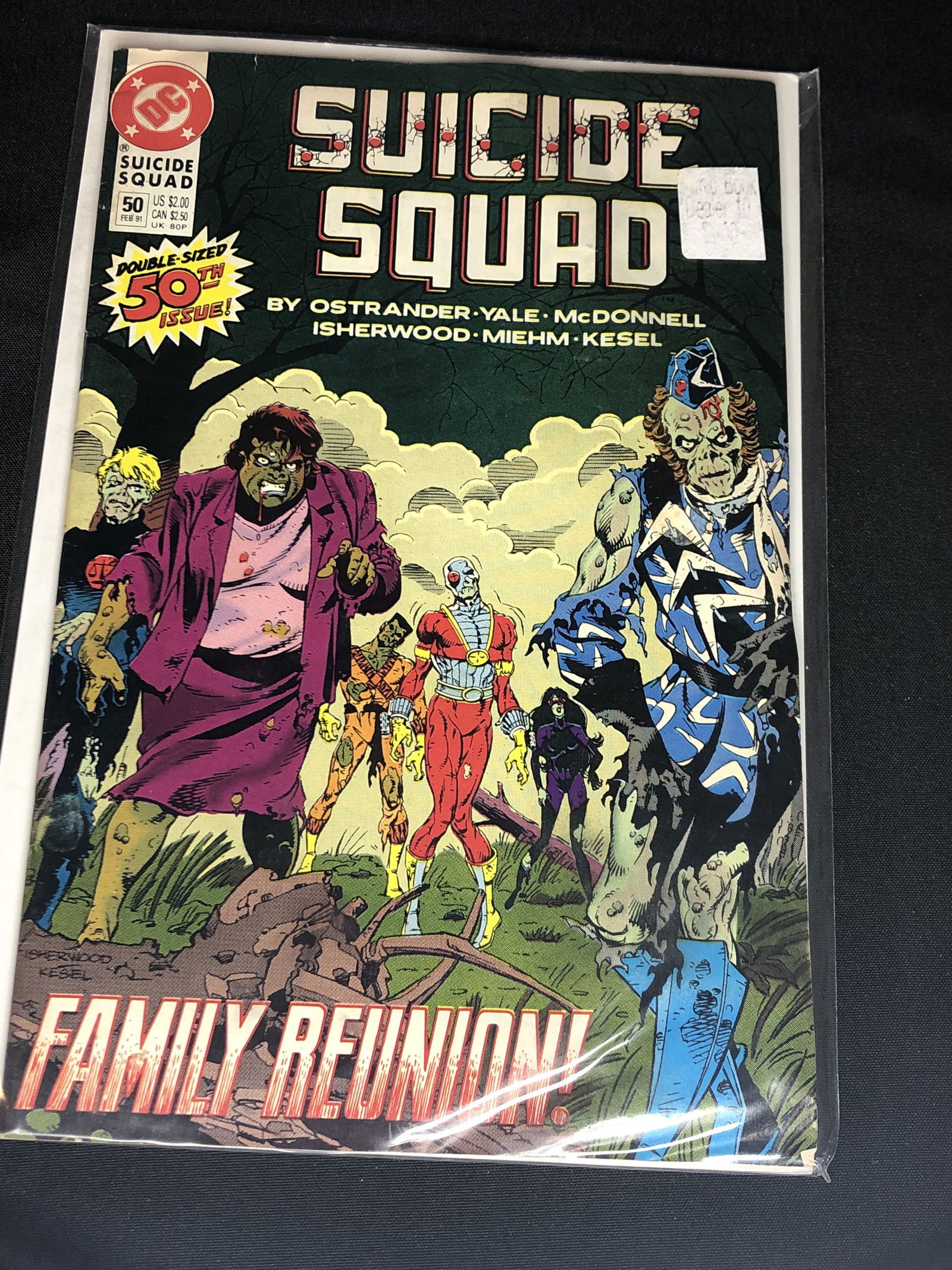 DC Suicide Squad Collectible Comic Book (1 of 1)
