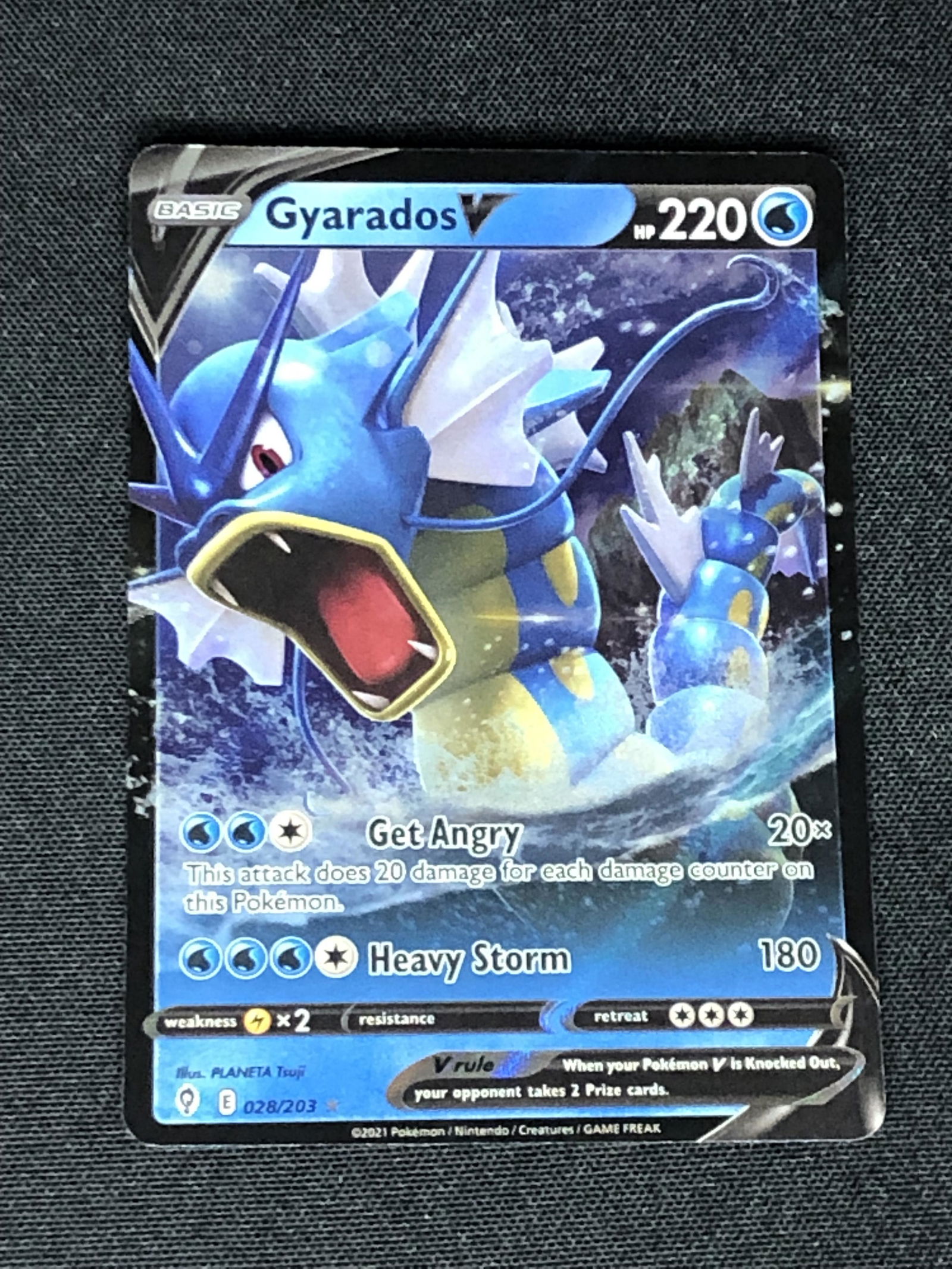 Gyarados V Pokemon Card (1 of 1)