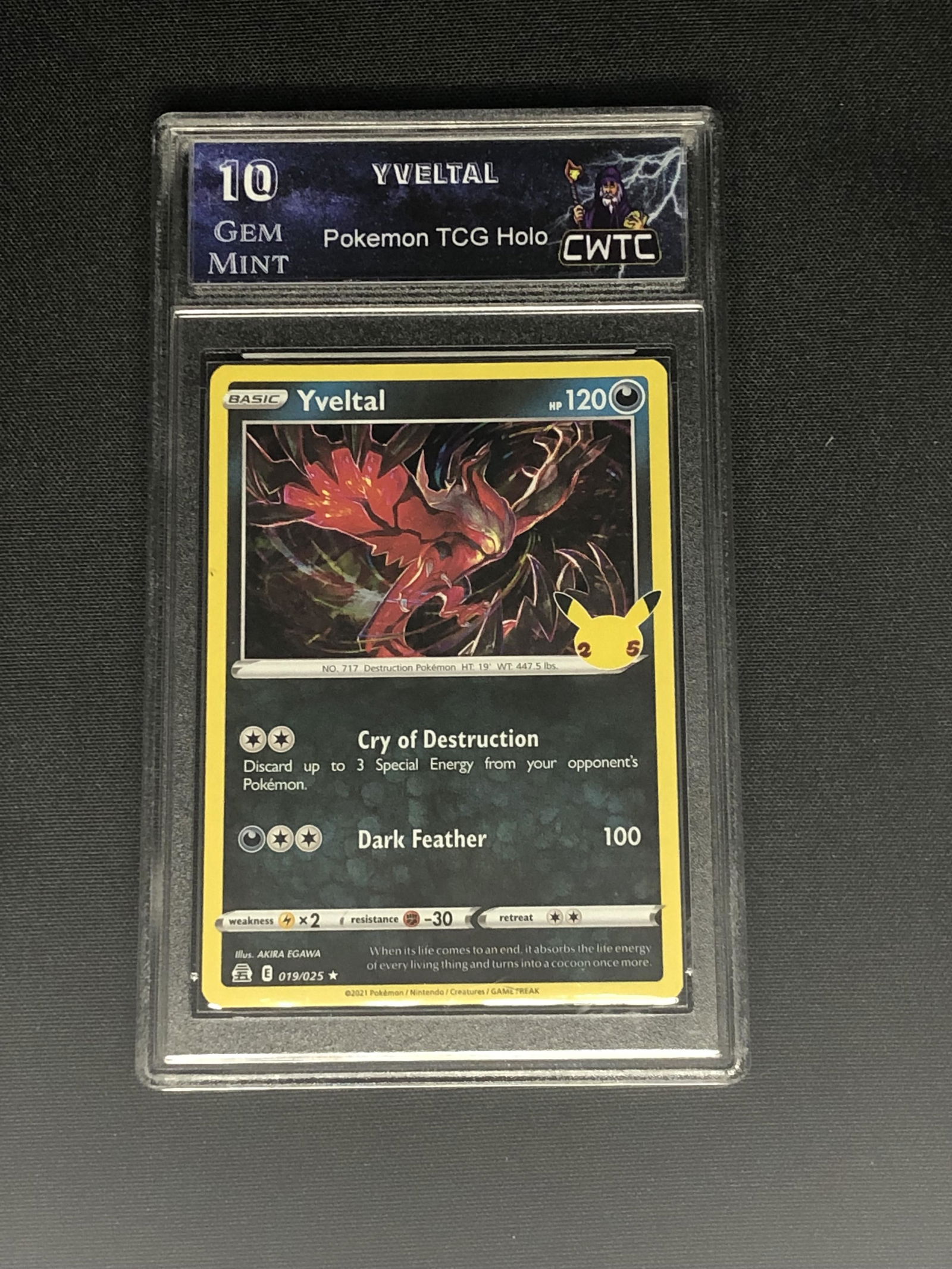 Yveltal Holo Graded CWTC 10 (1 of 1)