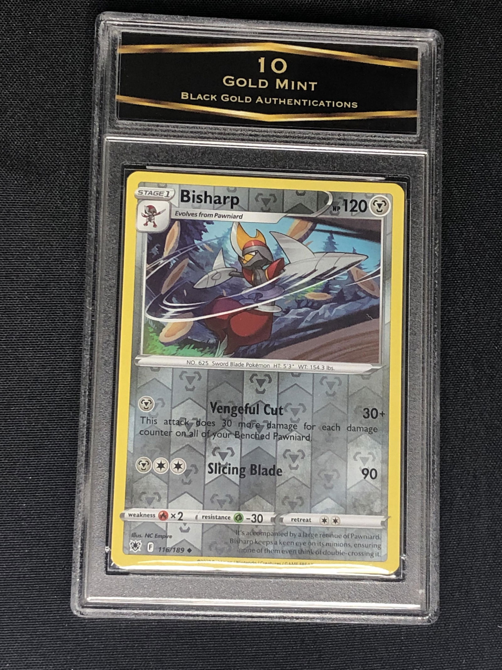 BGA Graded Pokemon Card: BGA Graded Pokemon Card