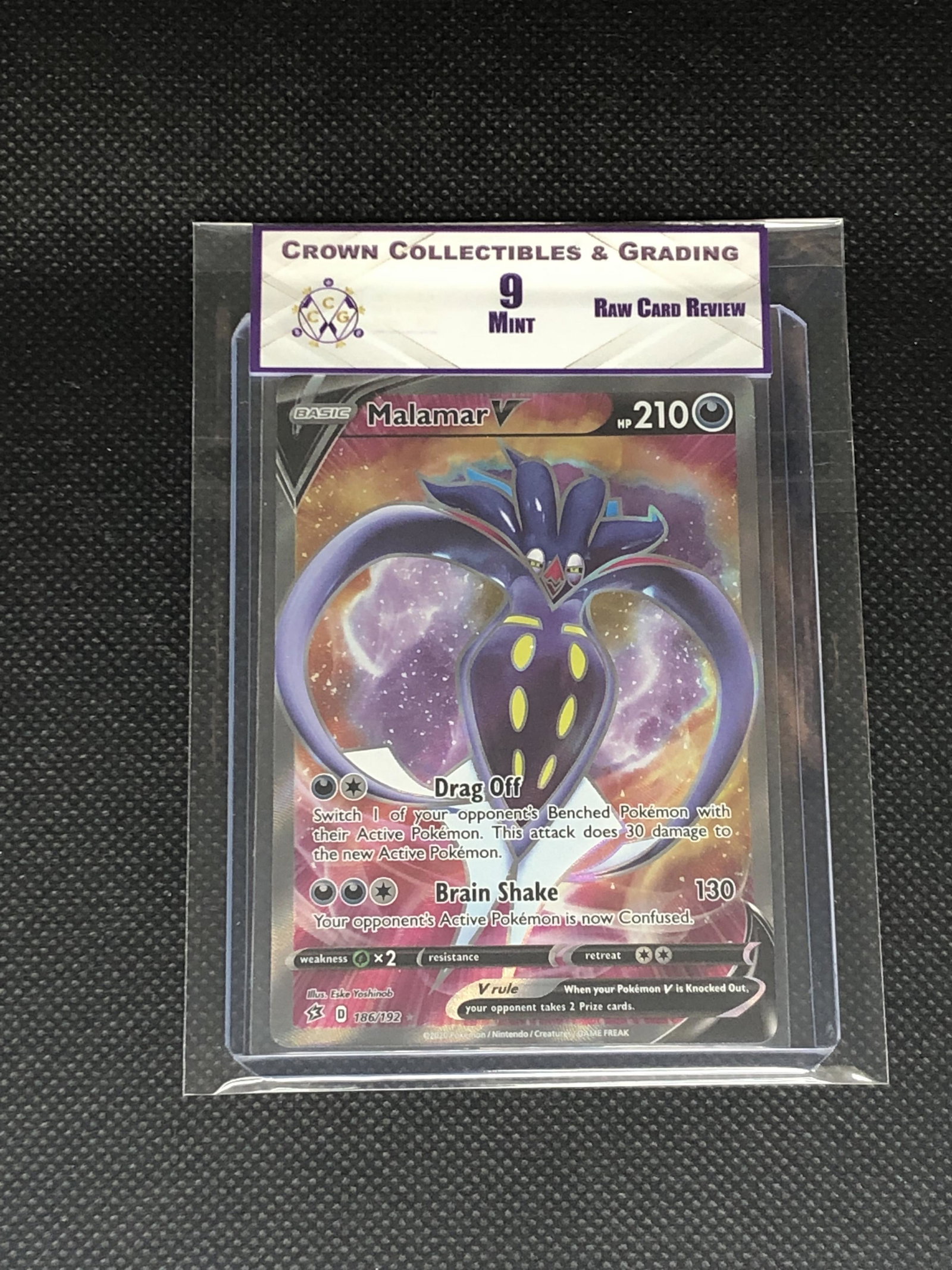 Raw Card Review Malamar V Full Art Graded CC&G 10: Raw Card Review Malamar V Full Art Graded CC&G 10