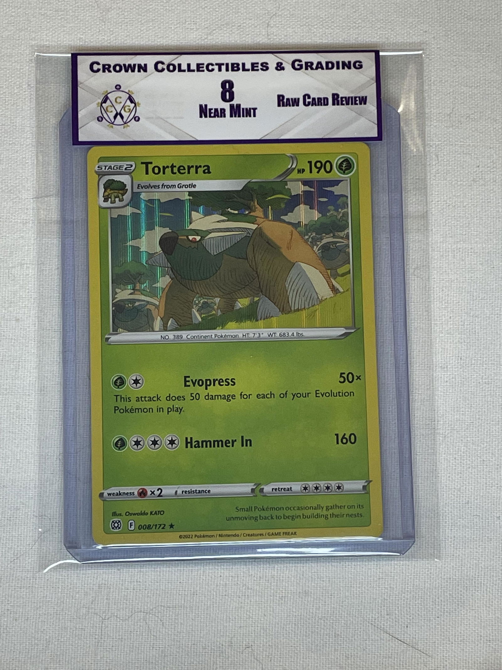 RCR Torterra 8 (1 of 1)