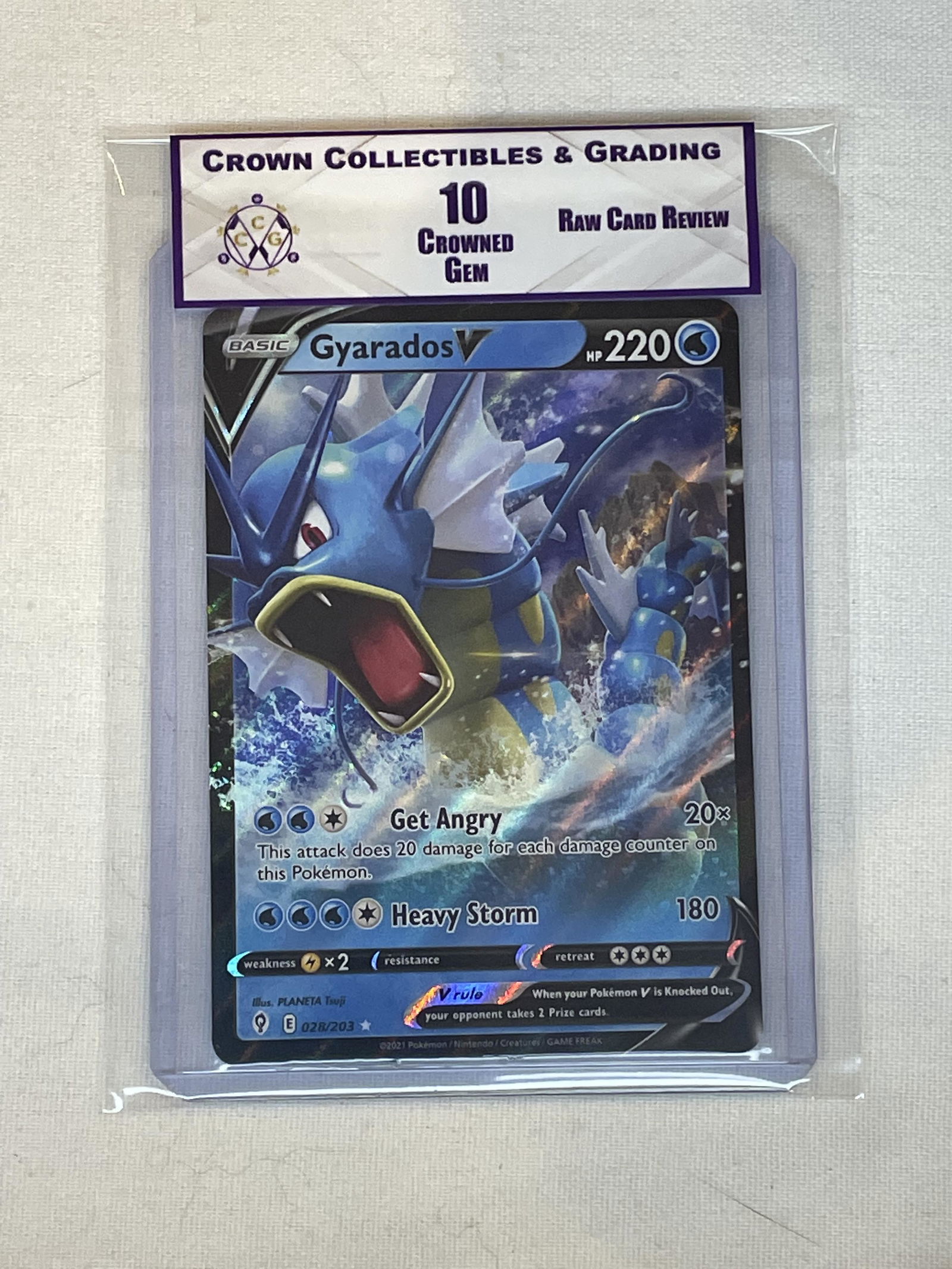 RCR Gyarados V 10 (1 of 1)