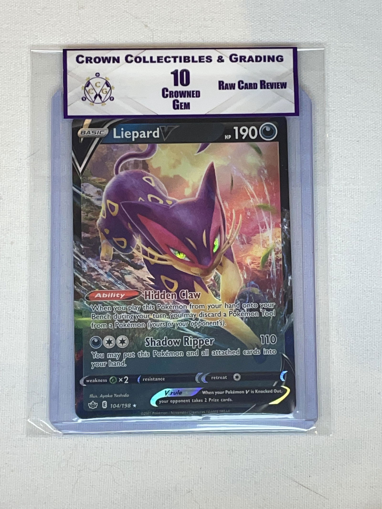 RCR Liepard V 10 (1 of 1)