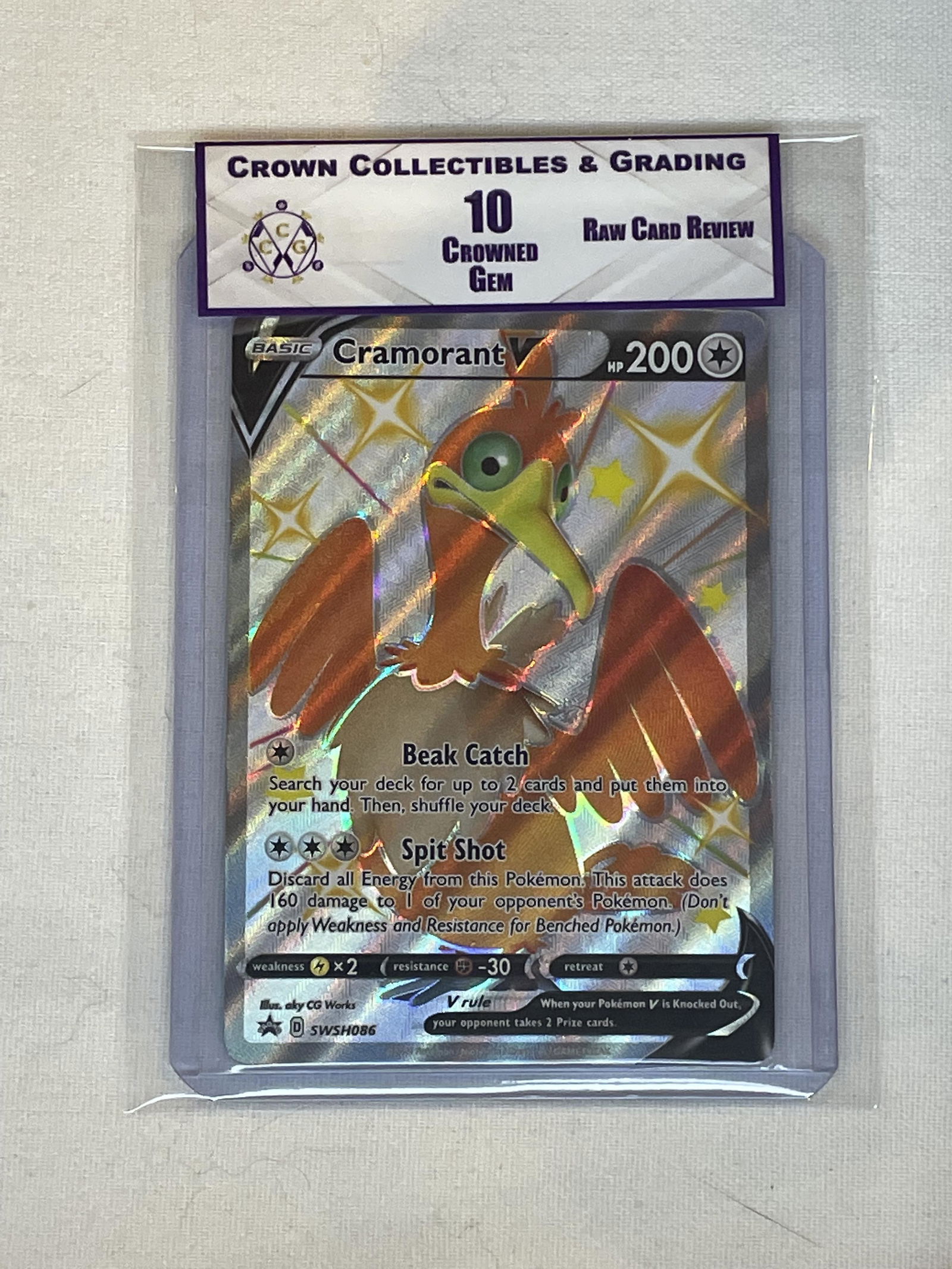 RCR Cramorant V 10 (1 of 1)