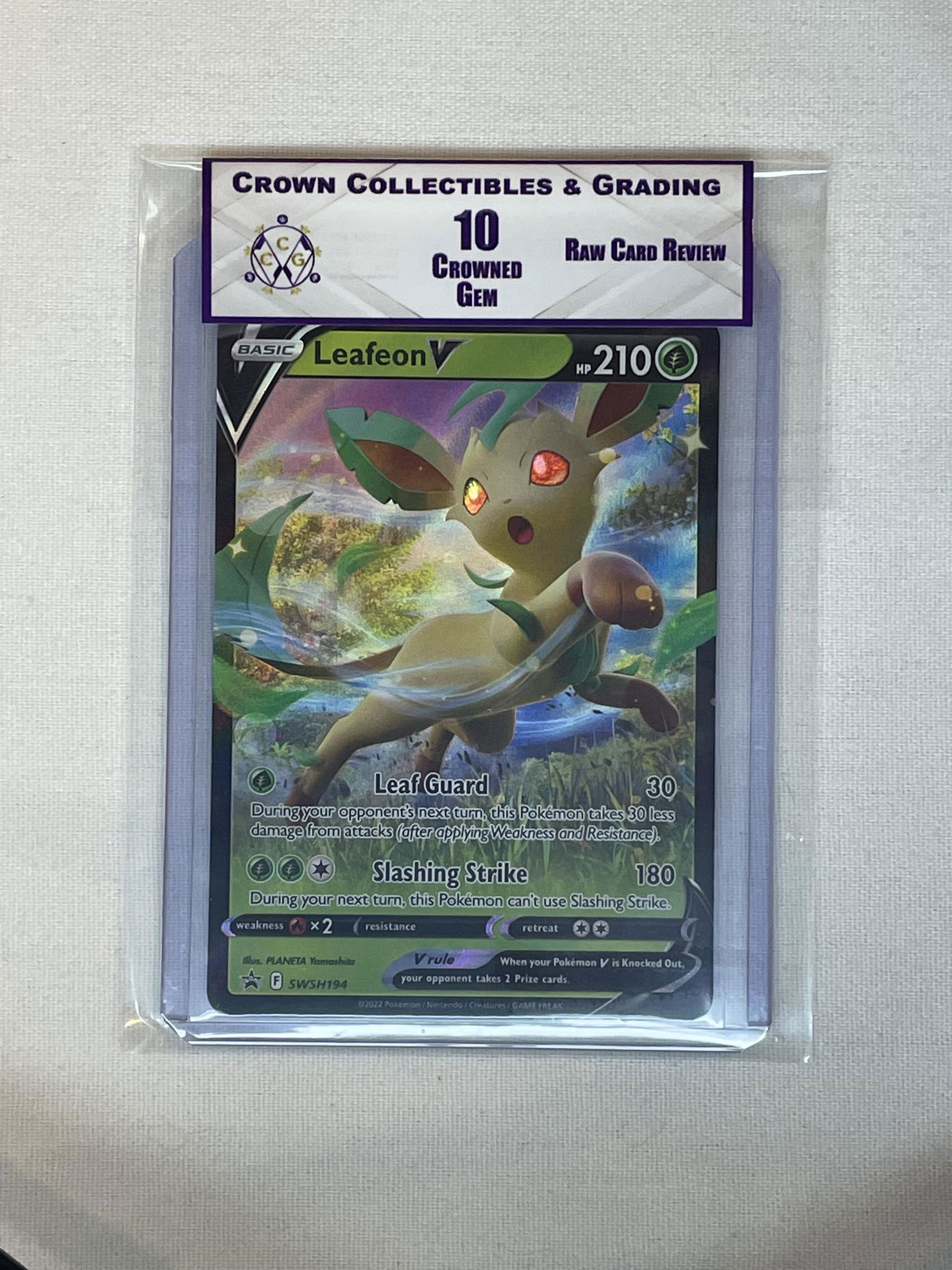 RCR Leafeon V 10 (1 of 1)