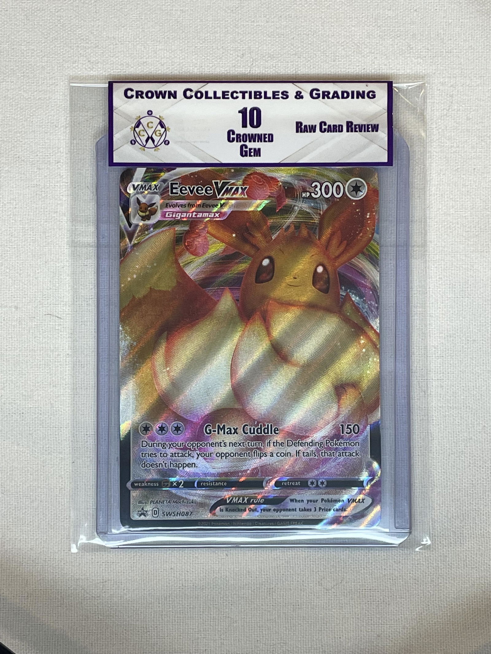 RCR Eevee Vmax 10 (1 of 1)