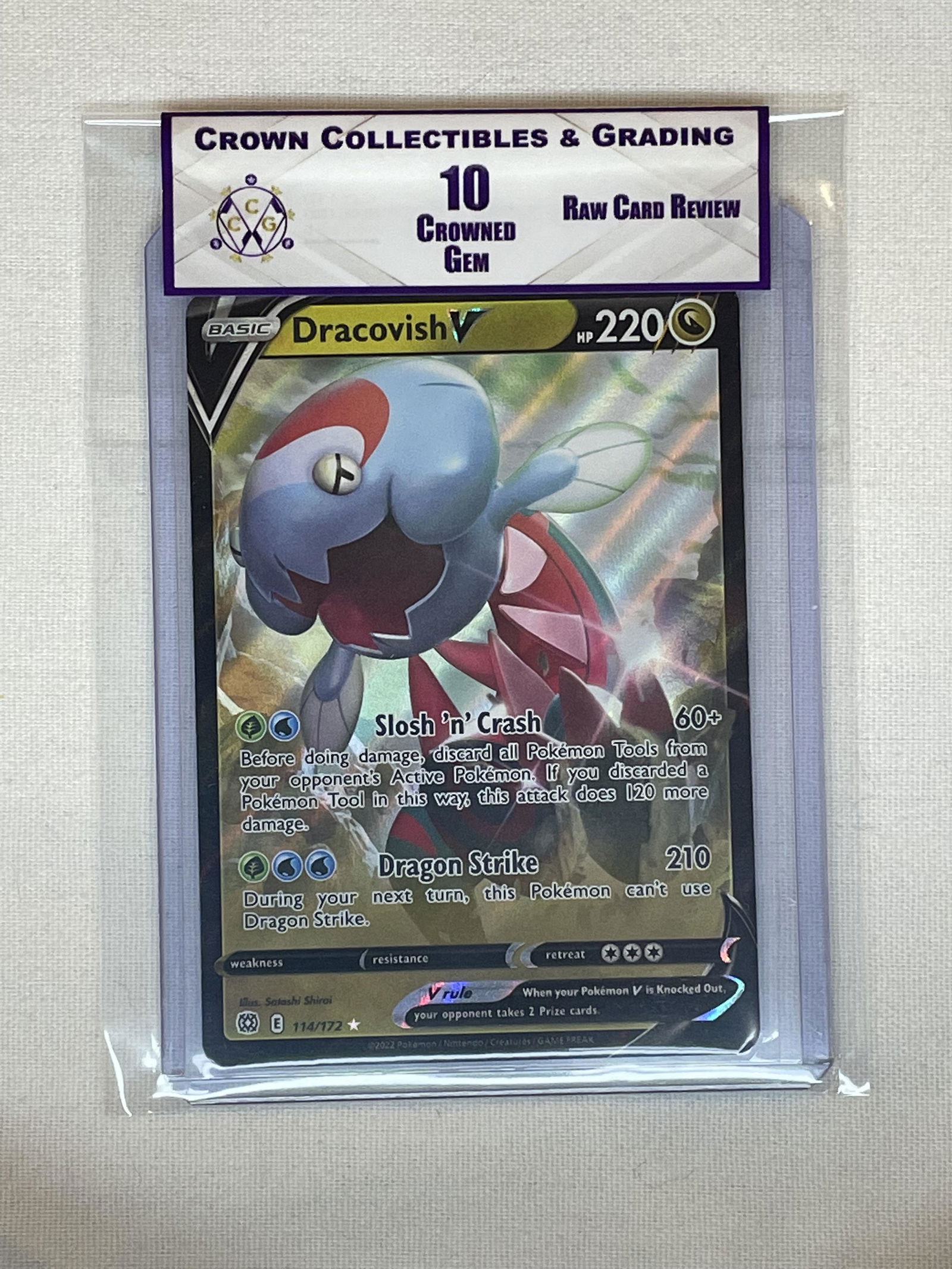 RCR Dracovish V 10 (1 of 1)