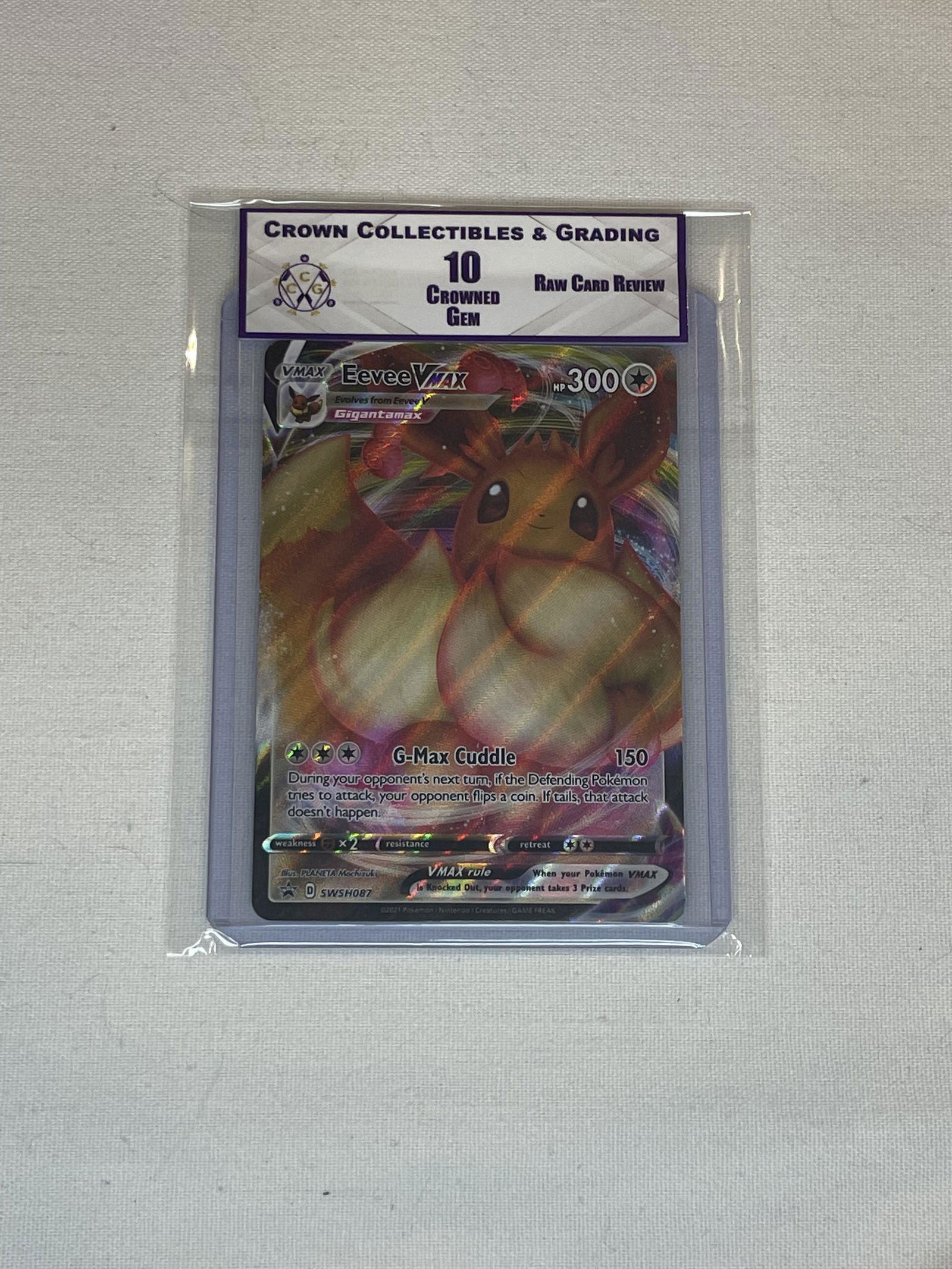 Eevee Vmax RCR 10 (1 of 1)