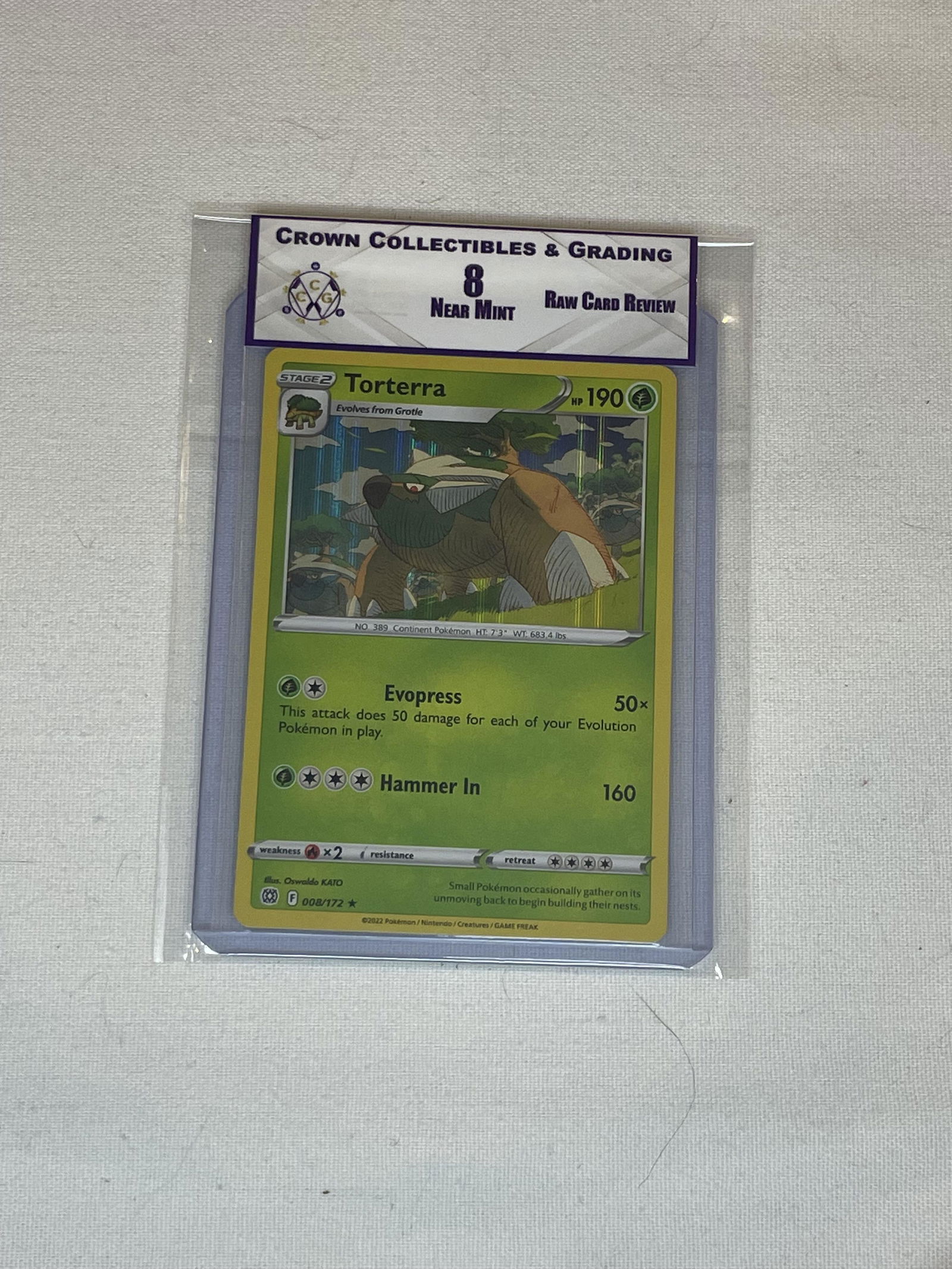 Torterra RCR 8 (1 of 1)