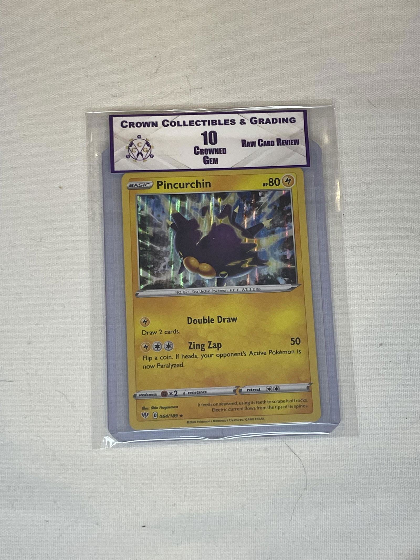 Pincurchin RCR 10 (1 of 1)