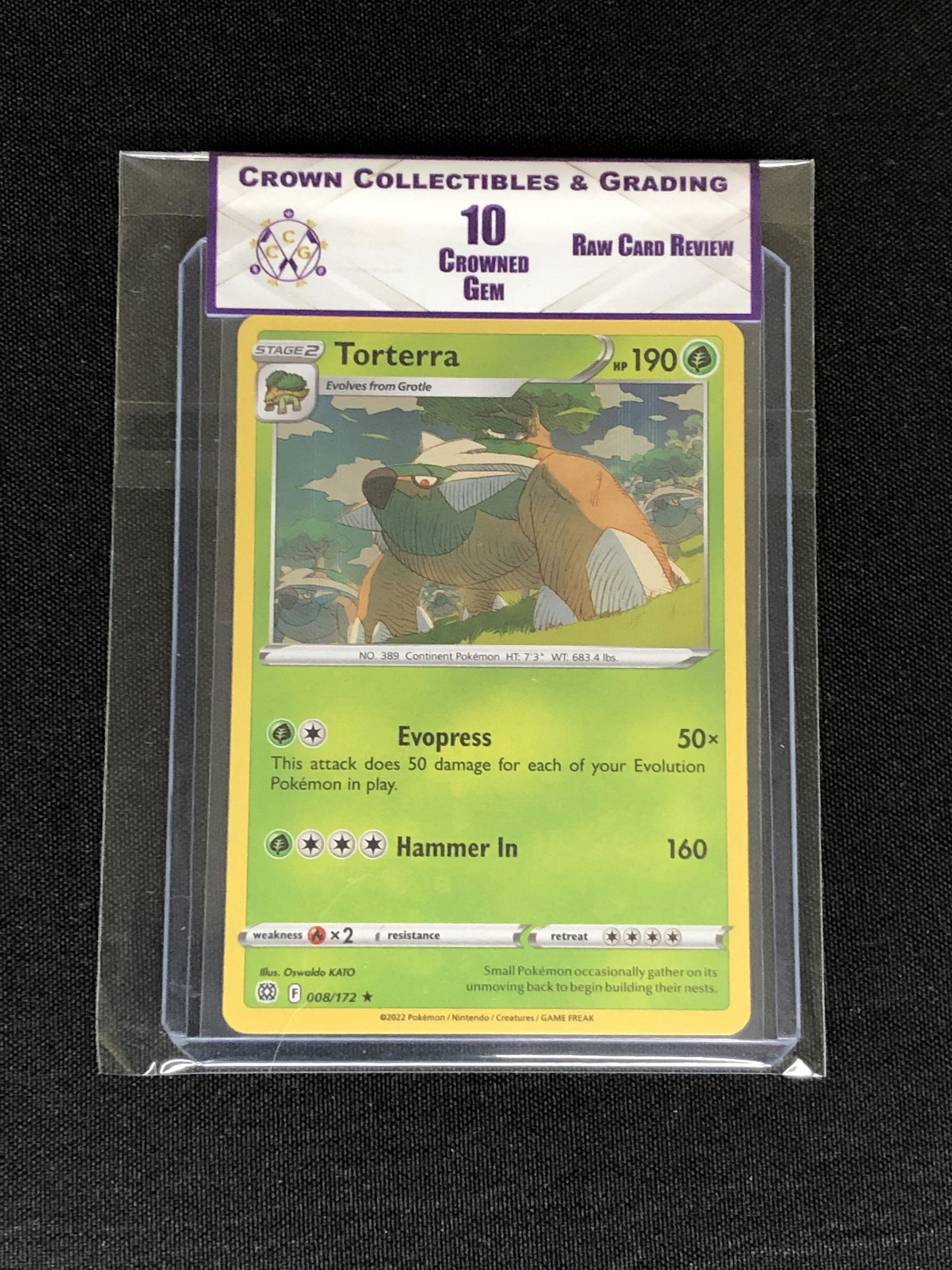 RCR Torterra Holo CC&G 10 (1 of 1)