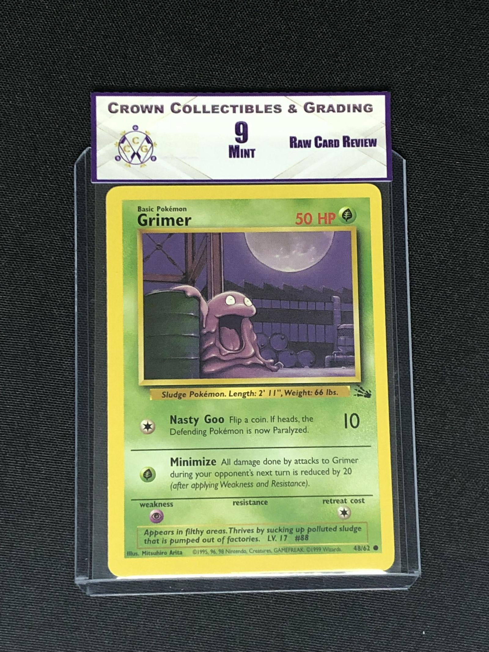 RCR Fossil Set Grimer CC&G 9: RCR Fossil Set Grimer CC&G 9