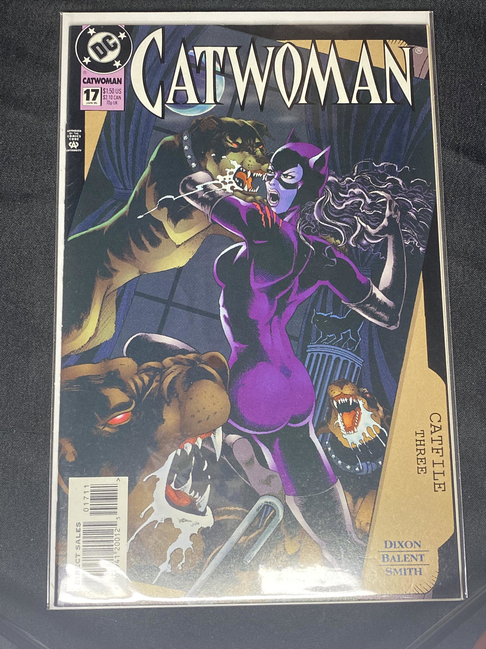 DC Catwoman Comic Book (1 of 1)