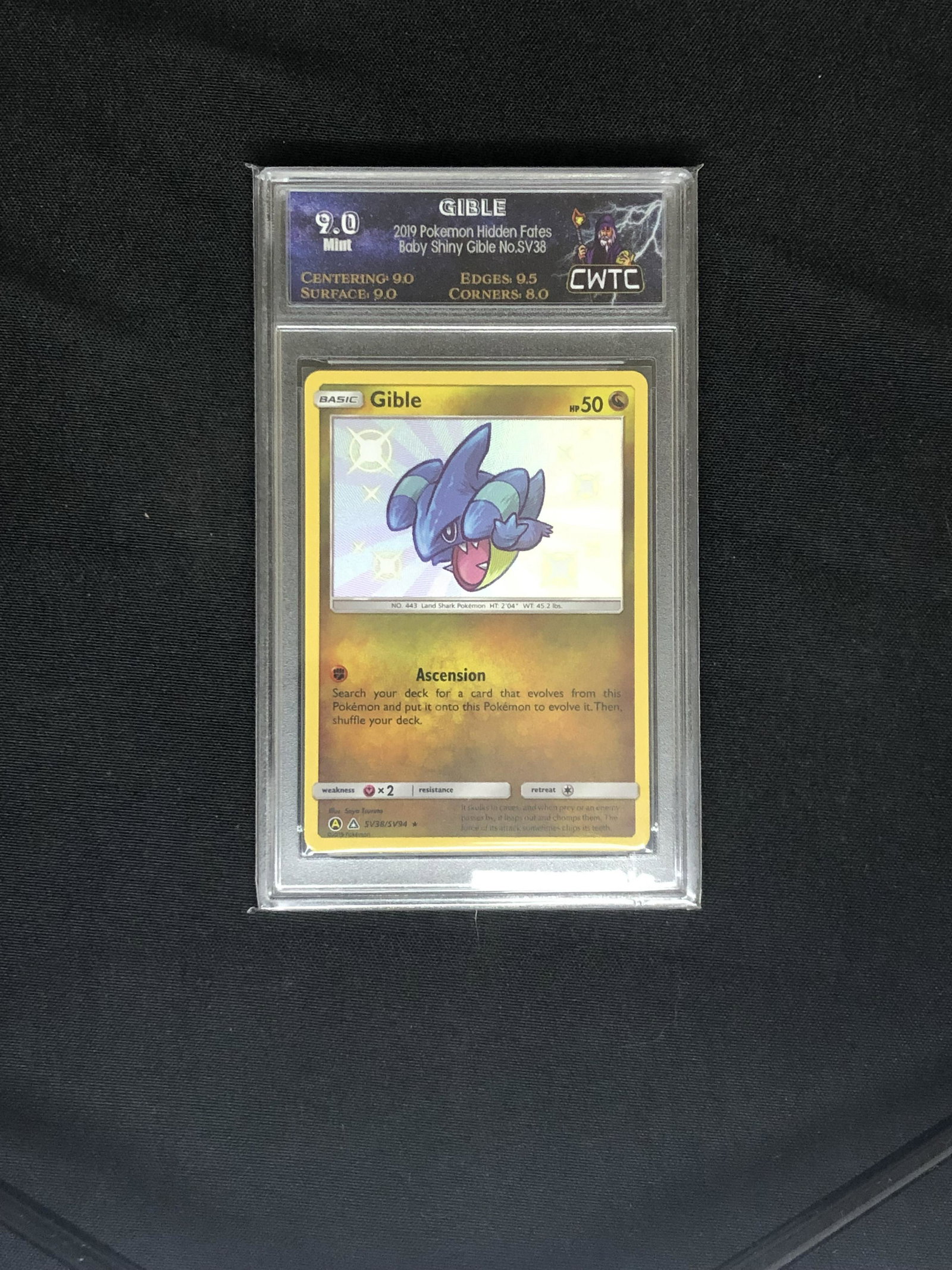 Gible CWTC 9 Pokemon Card (1 of 1)