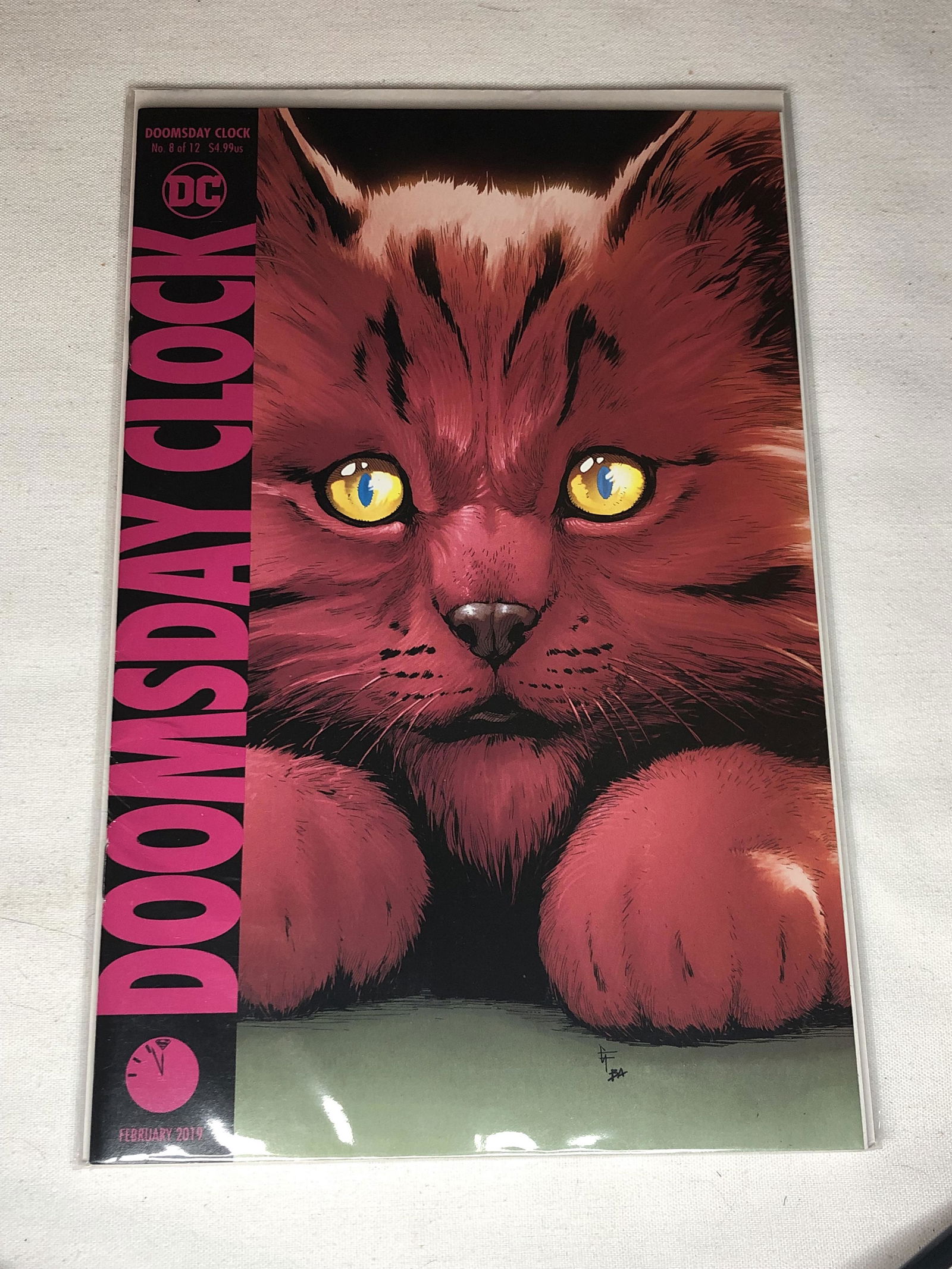 DC Doomsday Comic Book (1 of 1)
