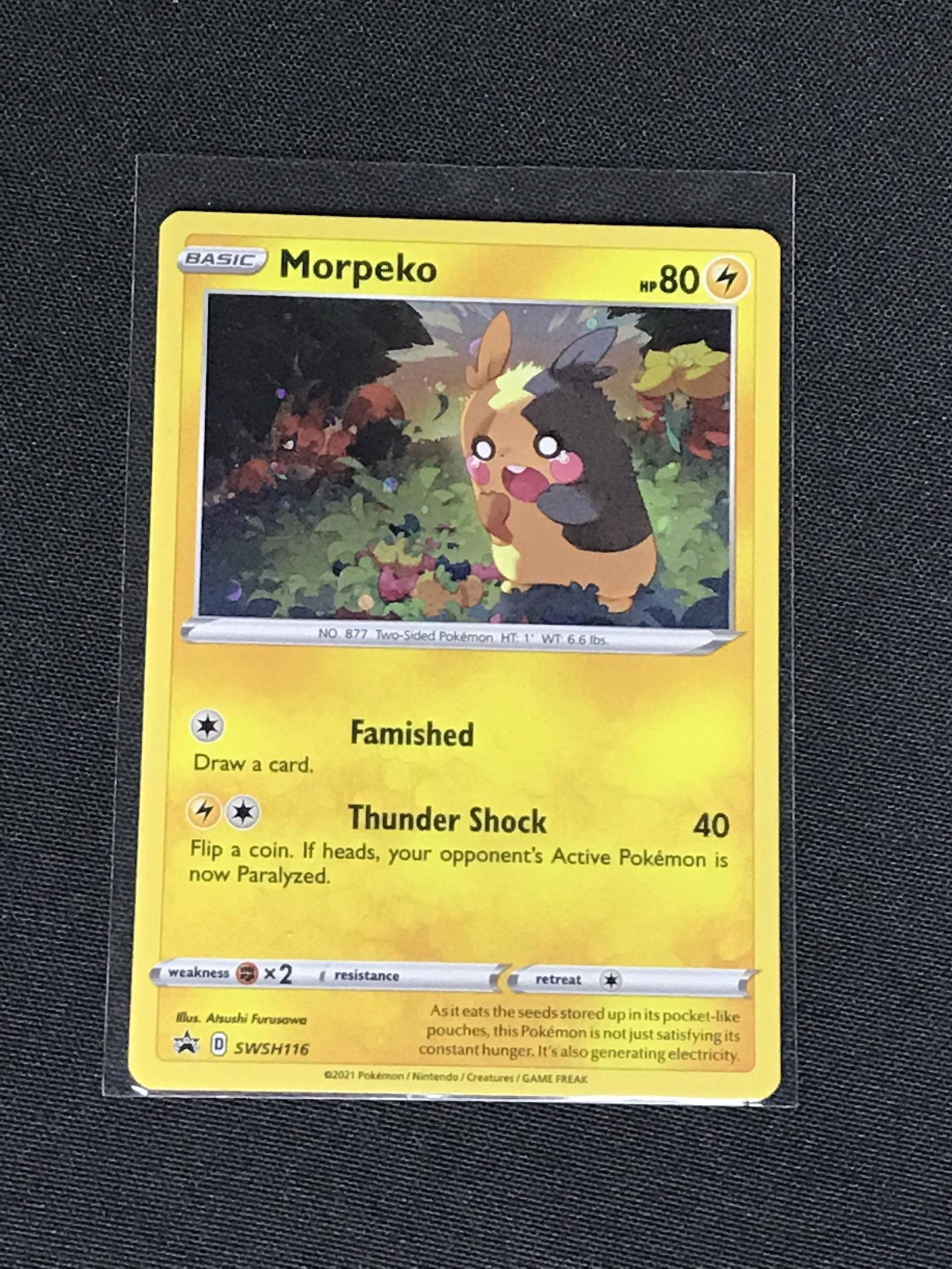 Morpeko Black Star Promo Holo Pokemon single - Moderately Played (1 of 1)