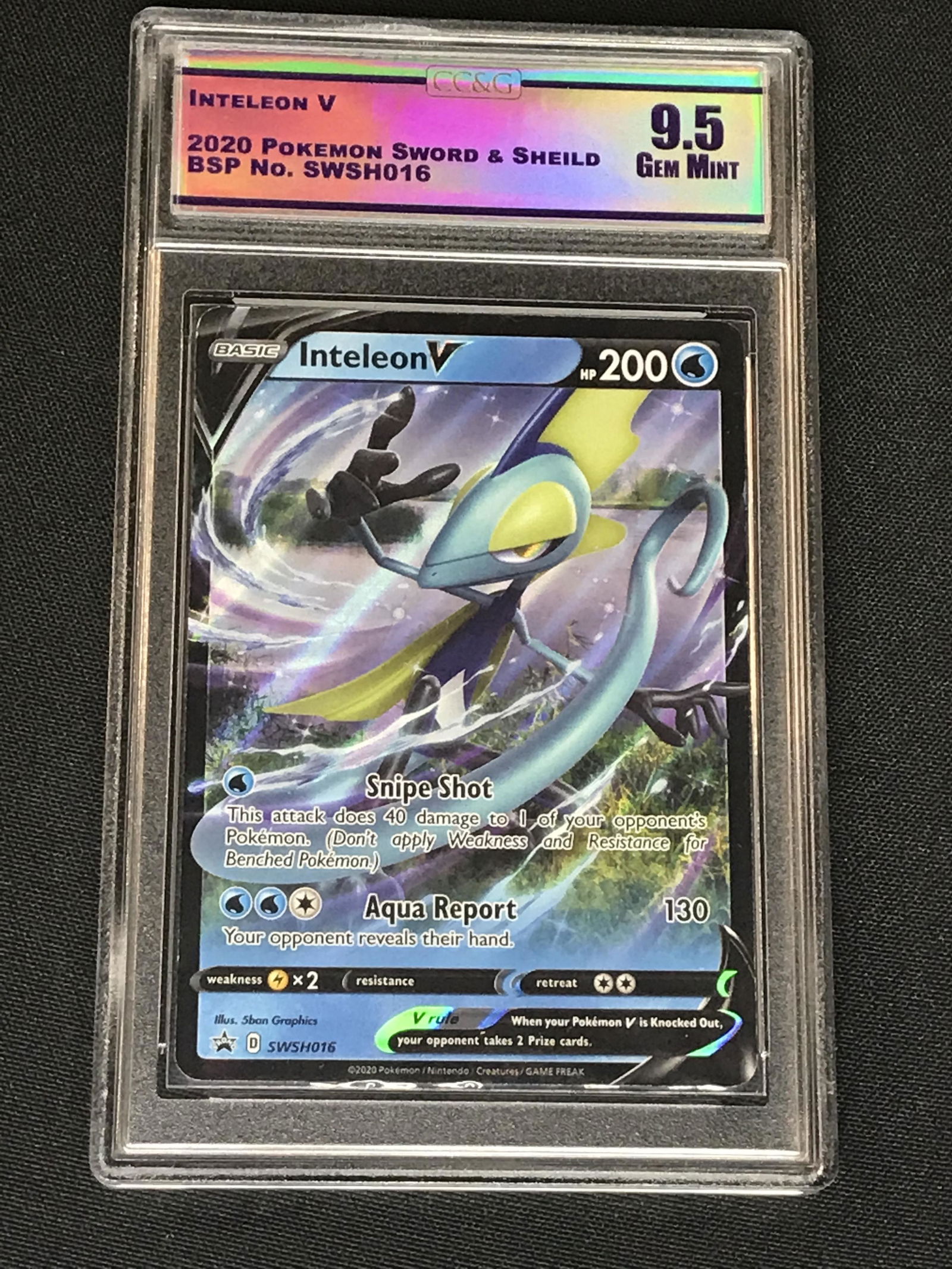 Inteleon V BSP 016 CC&G 9.5 (1 of 1)