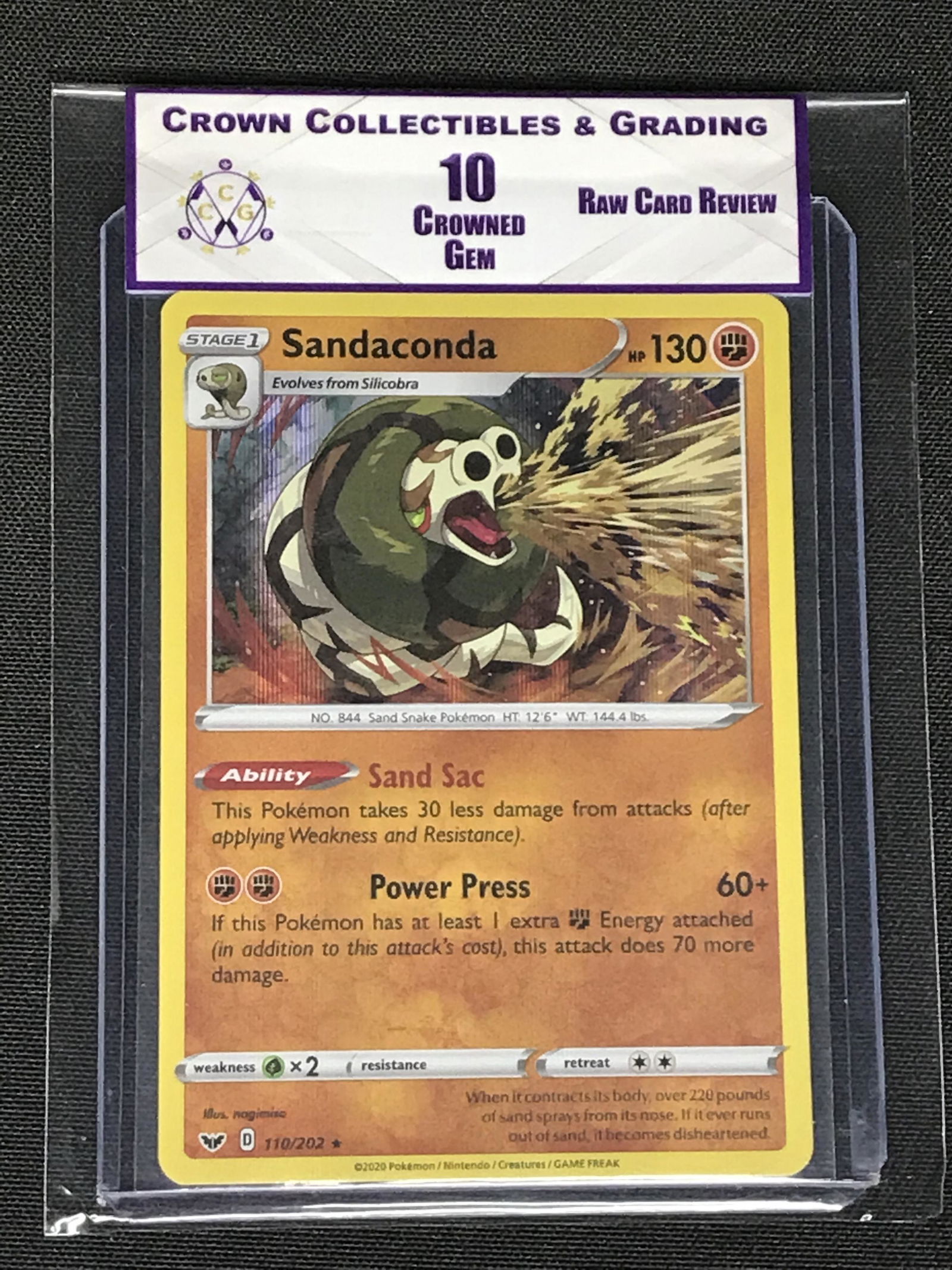 Sandaconda Holo RCR 10 (1 of 1)