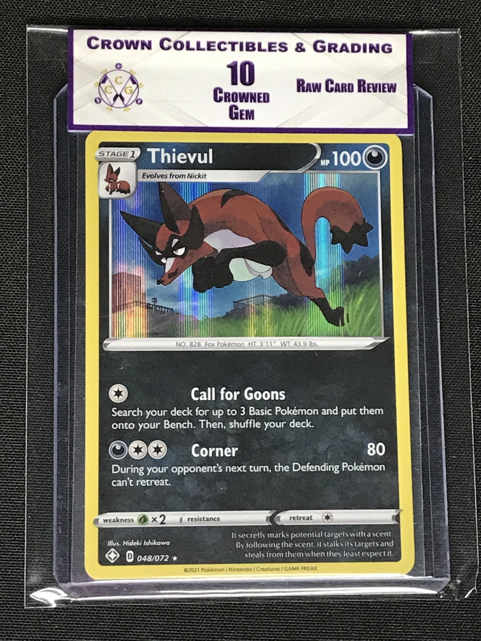 Thievul Holo RCR 10 (1 of 1)