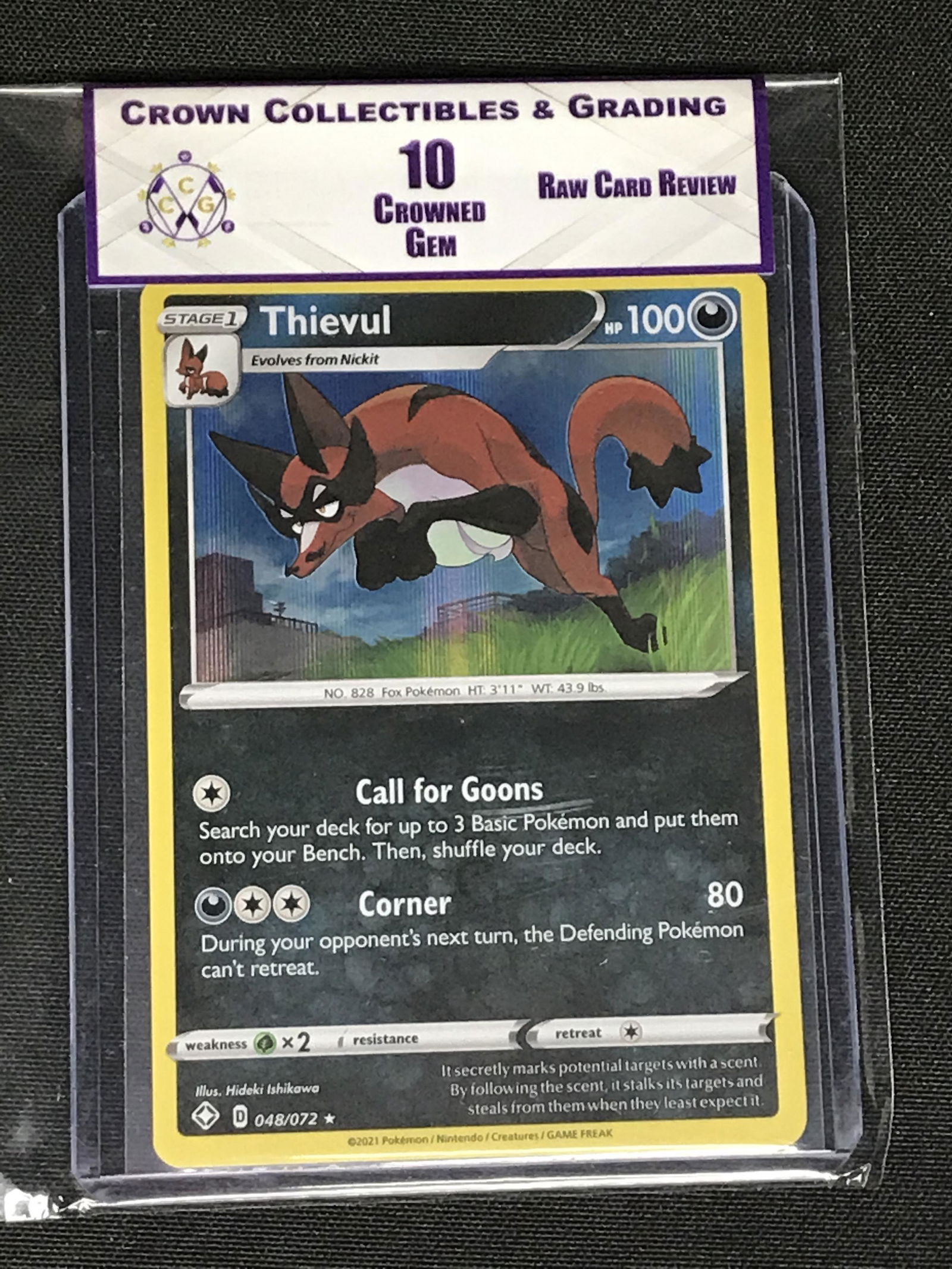 Thievul Holo RCR 10 (1 of 1)