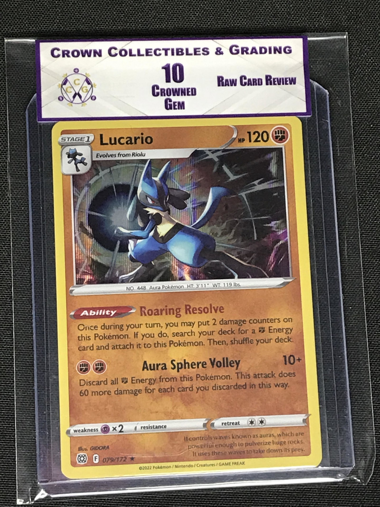 Lucario Holo RCR 10 (1 of 1)
