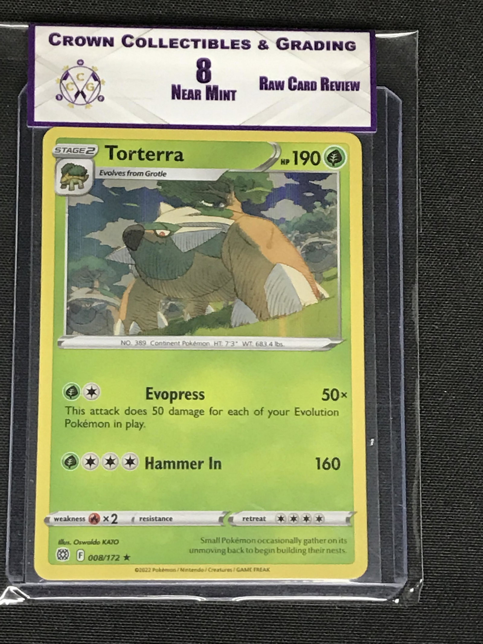 Torterra Holo RCR 8 (1 of 1)