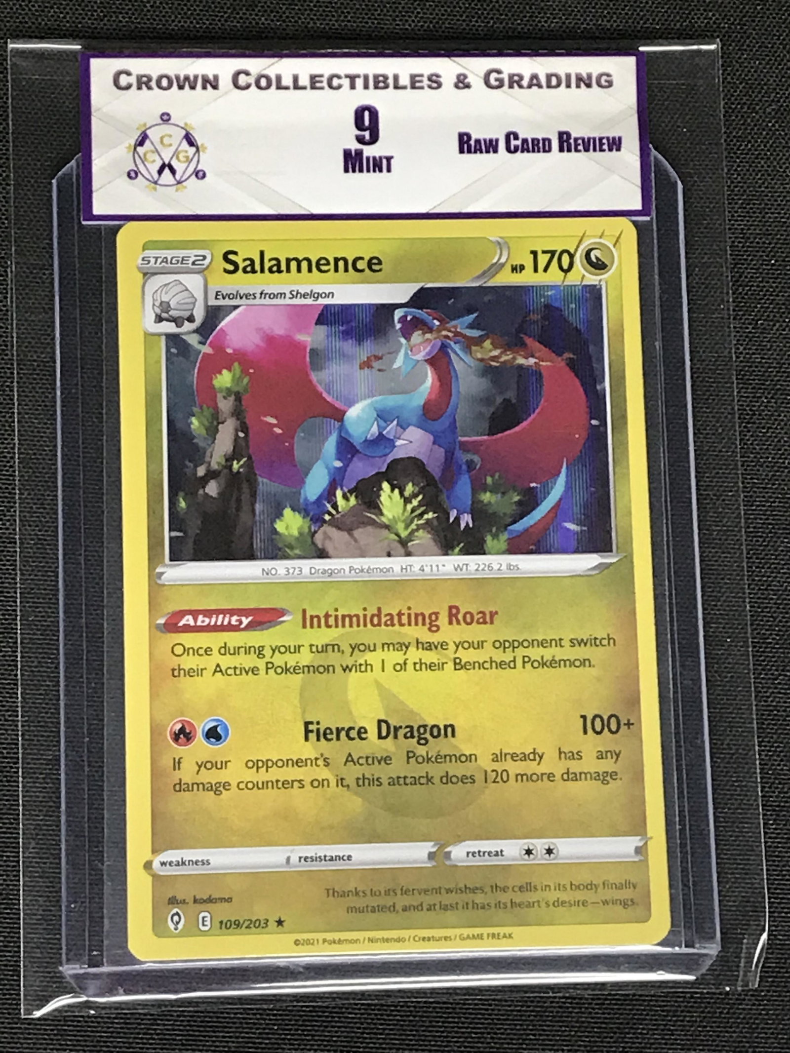 Salamence Holo RCR 9 (1 of 1)