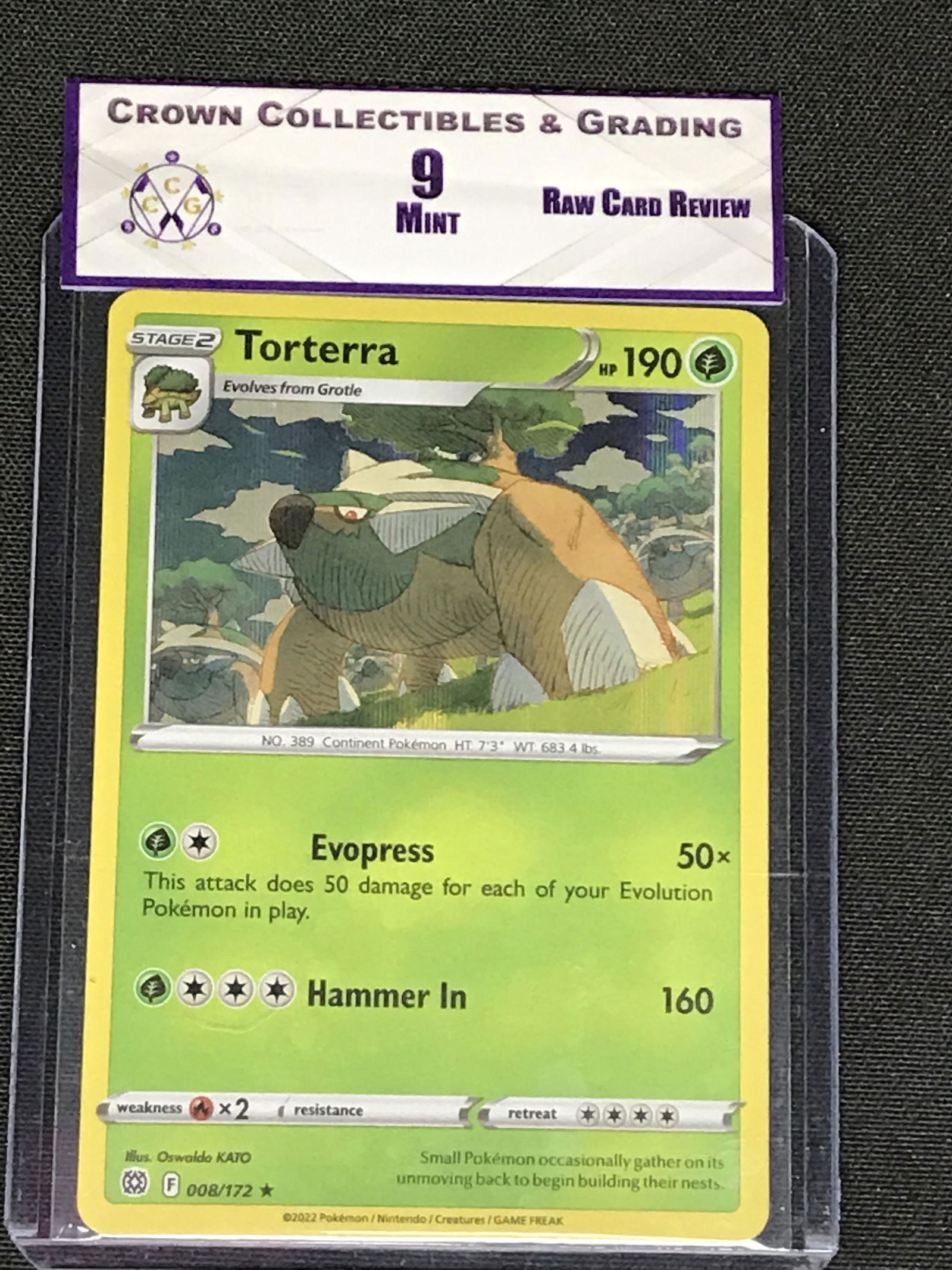 Torterra Holo RCR 9 (1 of 1)