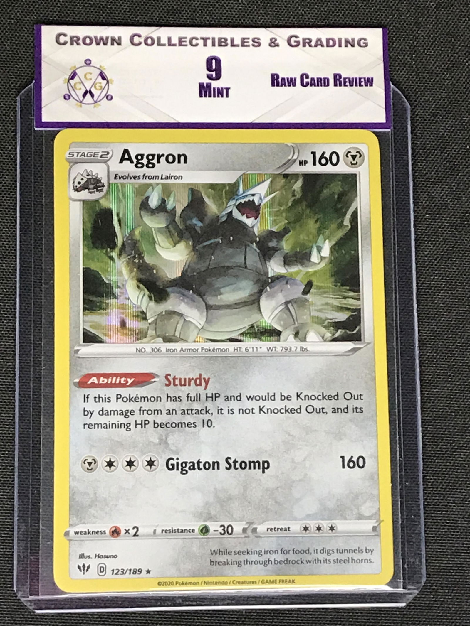 Aggron Holo RCR 9 (1 of 1)