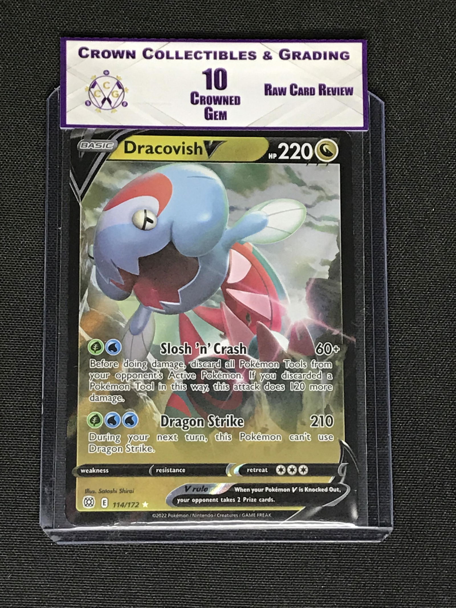 Dracovish V RCR 10 (1 of 1)