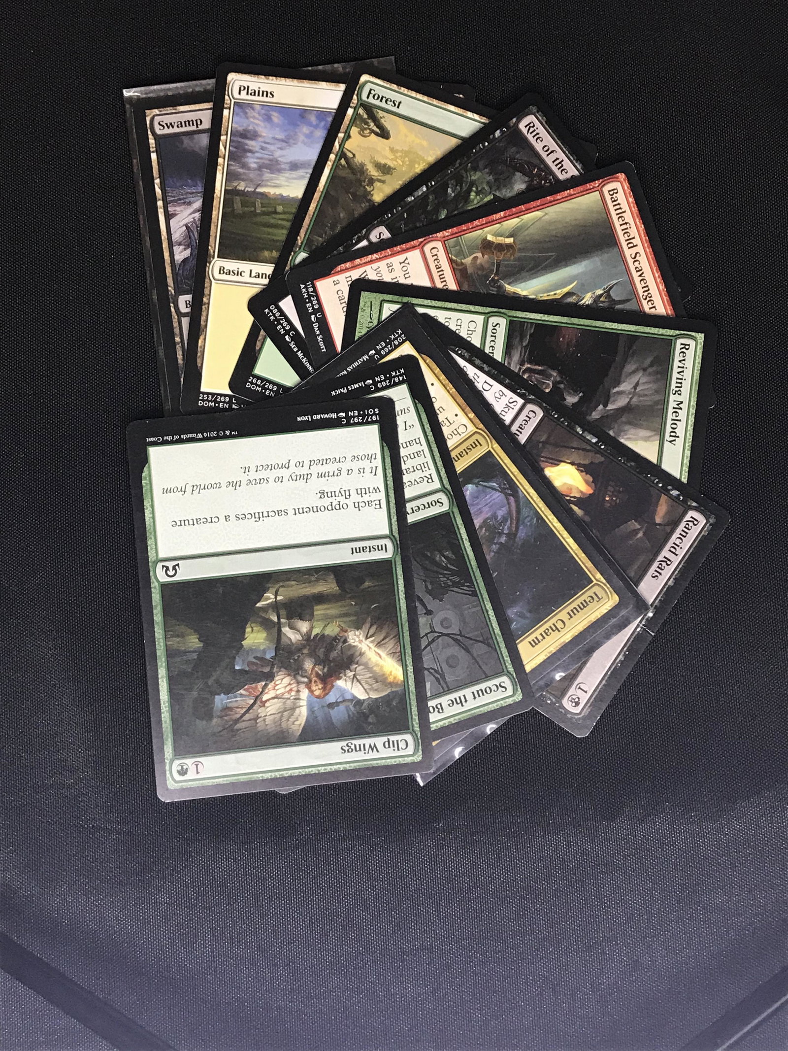 Lot of Magic the Gathering cards: Lot of Magic the Gathering cards
