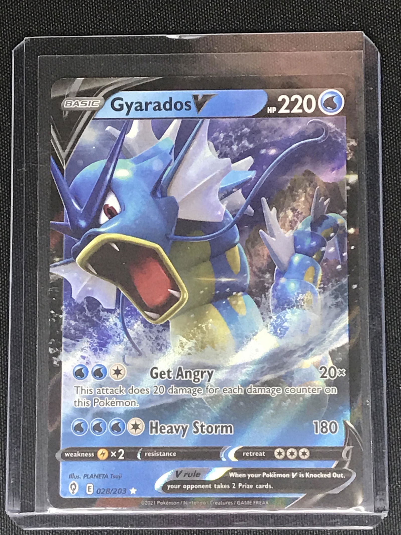 Gyarados V Pokemon single (1 of 1)