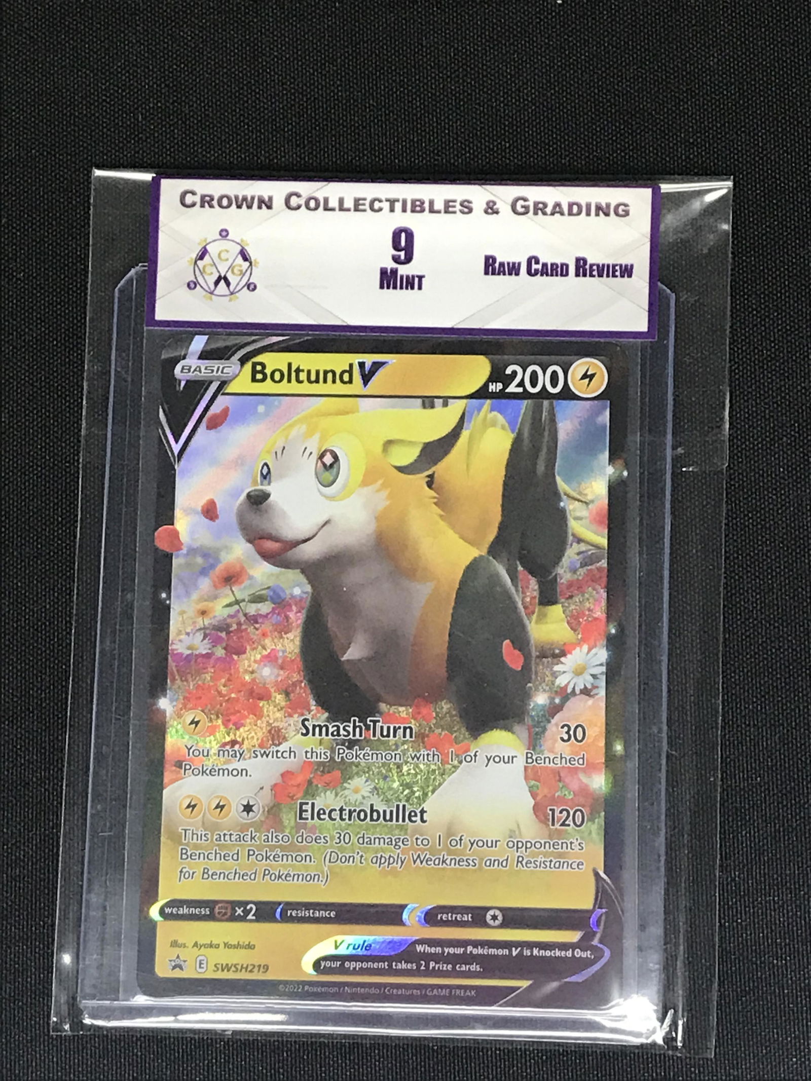 Boltund V Pokemon RCR 9 (1 of 1)