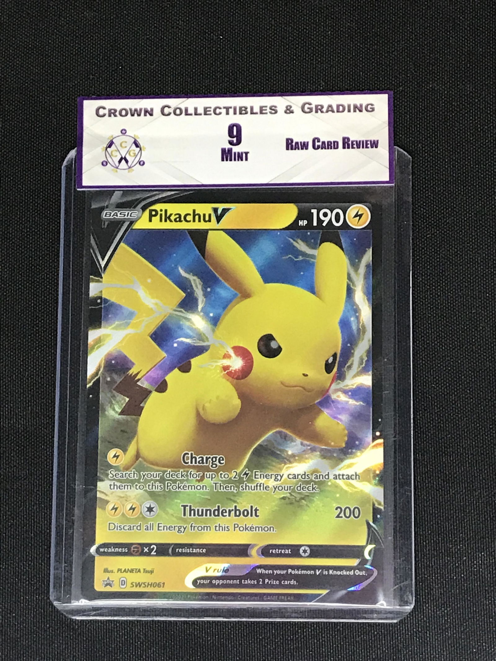 Pikachu V Pokemon RCR 9 (1 of 1)