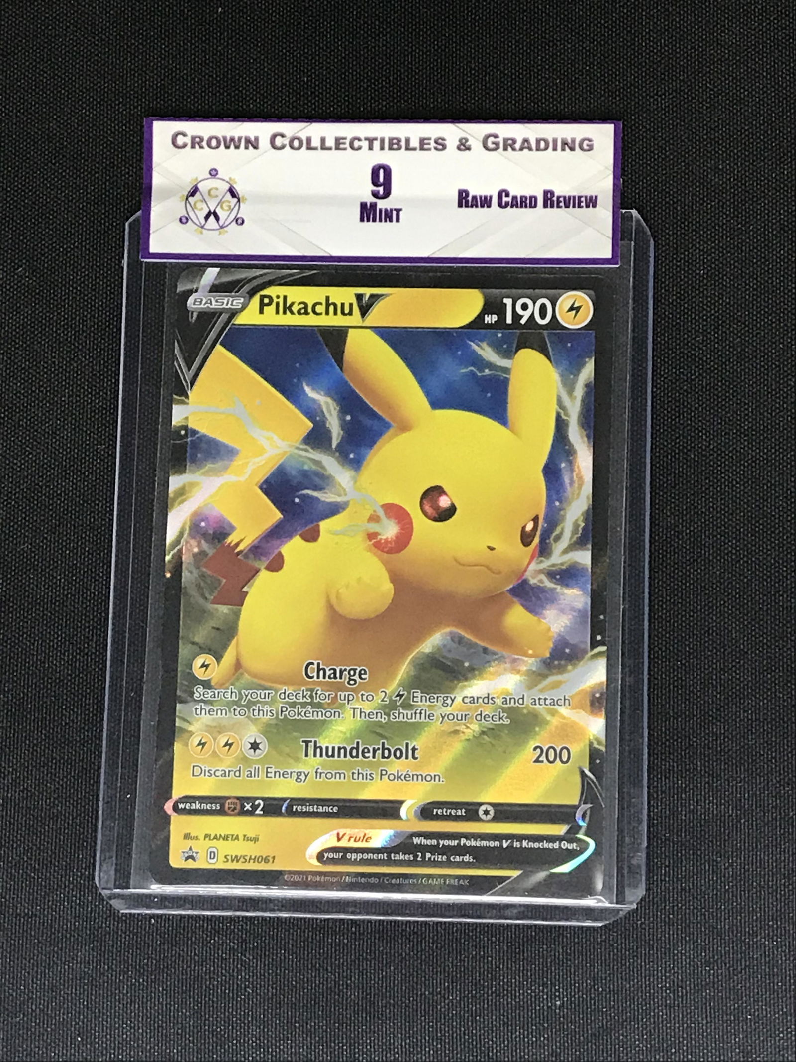 Pikachu V Pokemon RCR 9 (1 of 1)